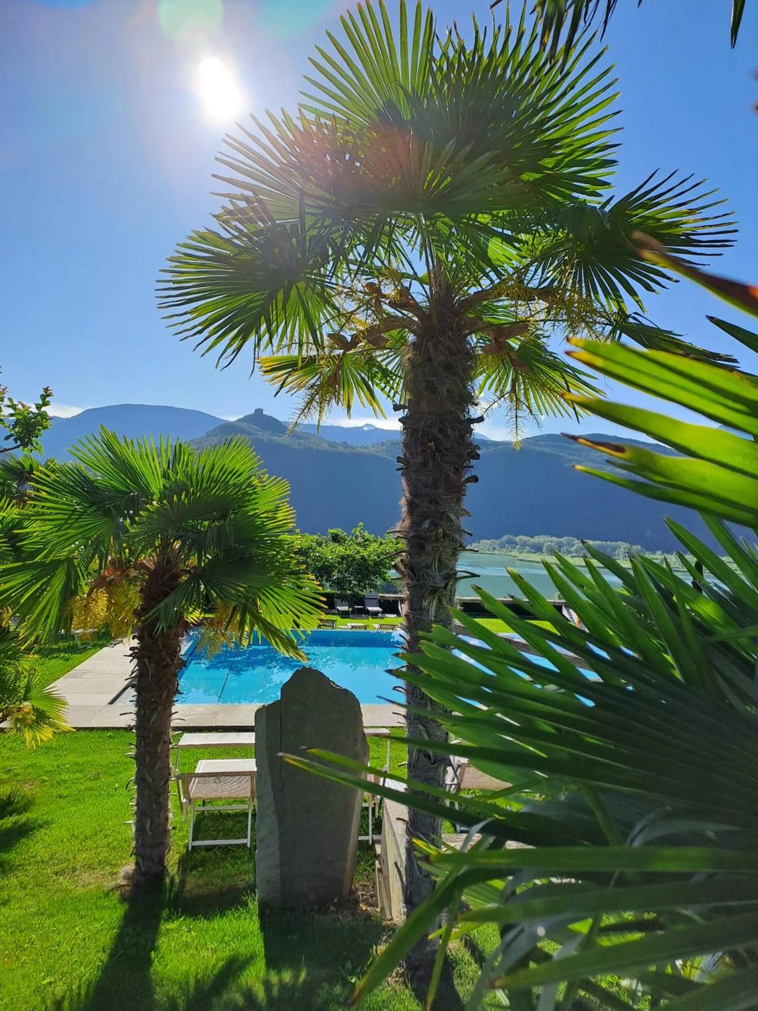 View (from property/room) in Pension Hasslhof