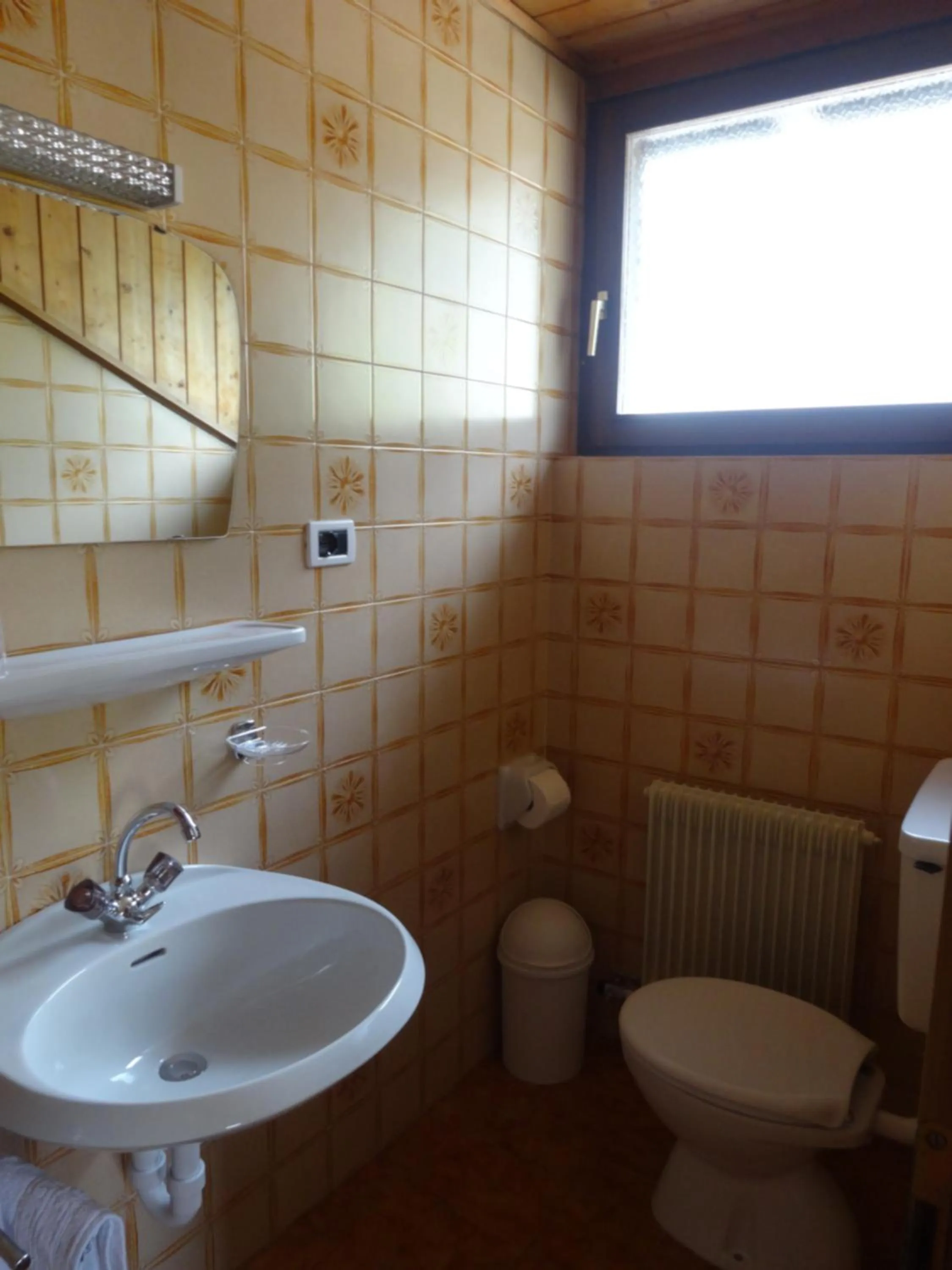 Bathroom in Pension Hasslhof