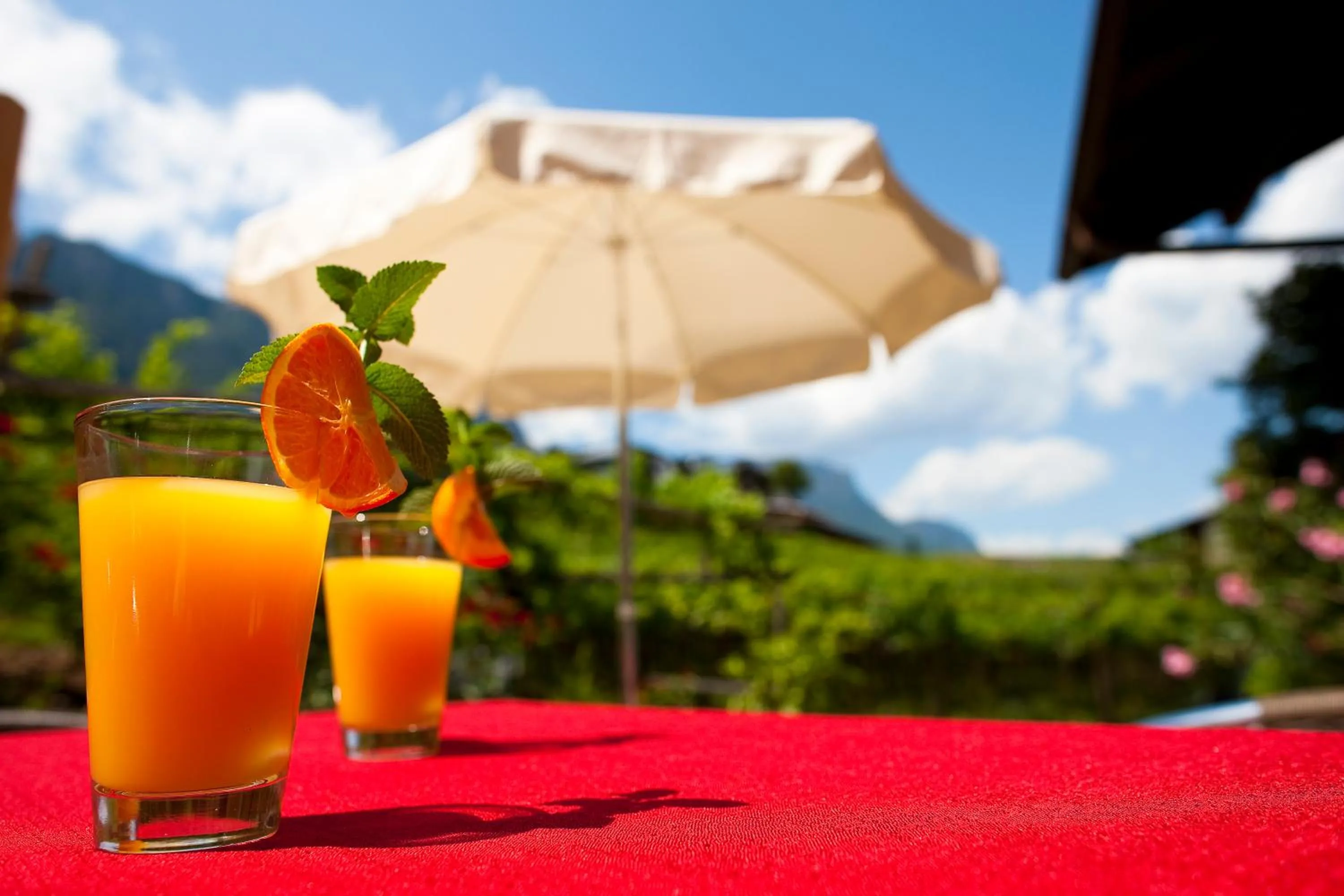 Food close-up in Pension Hasslhof