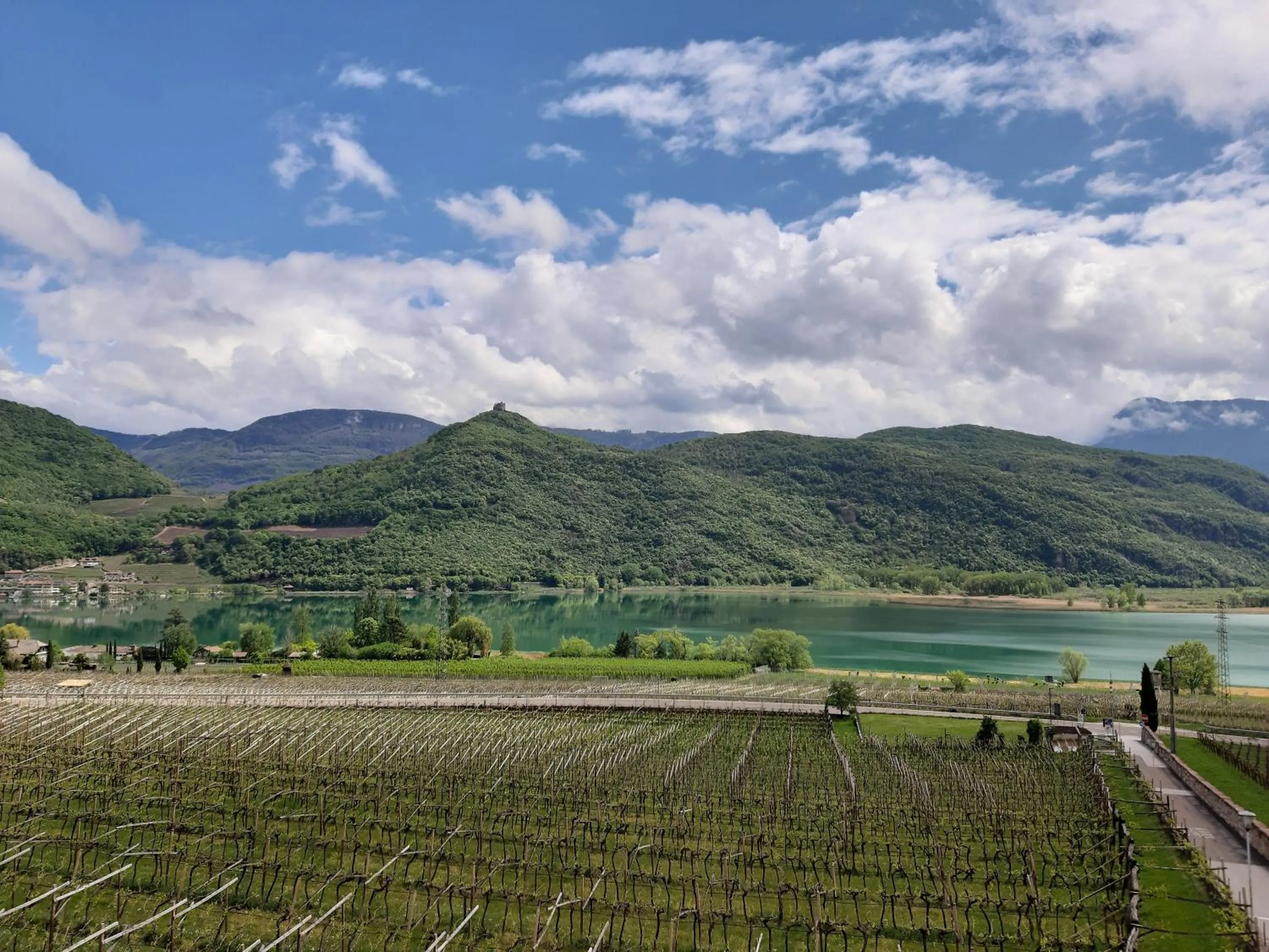 View (from property/room) in Pension Hasslhof