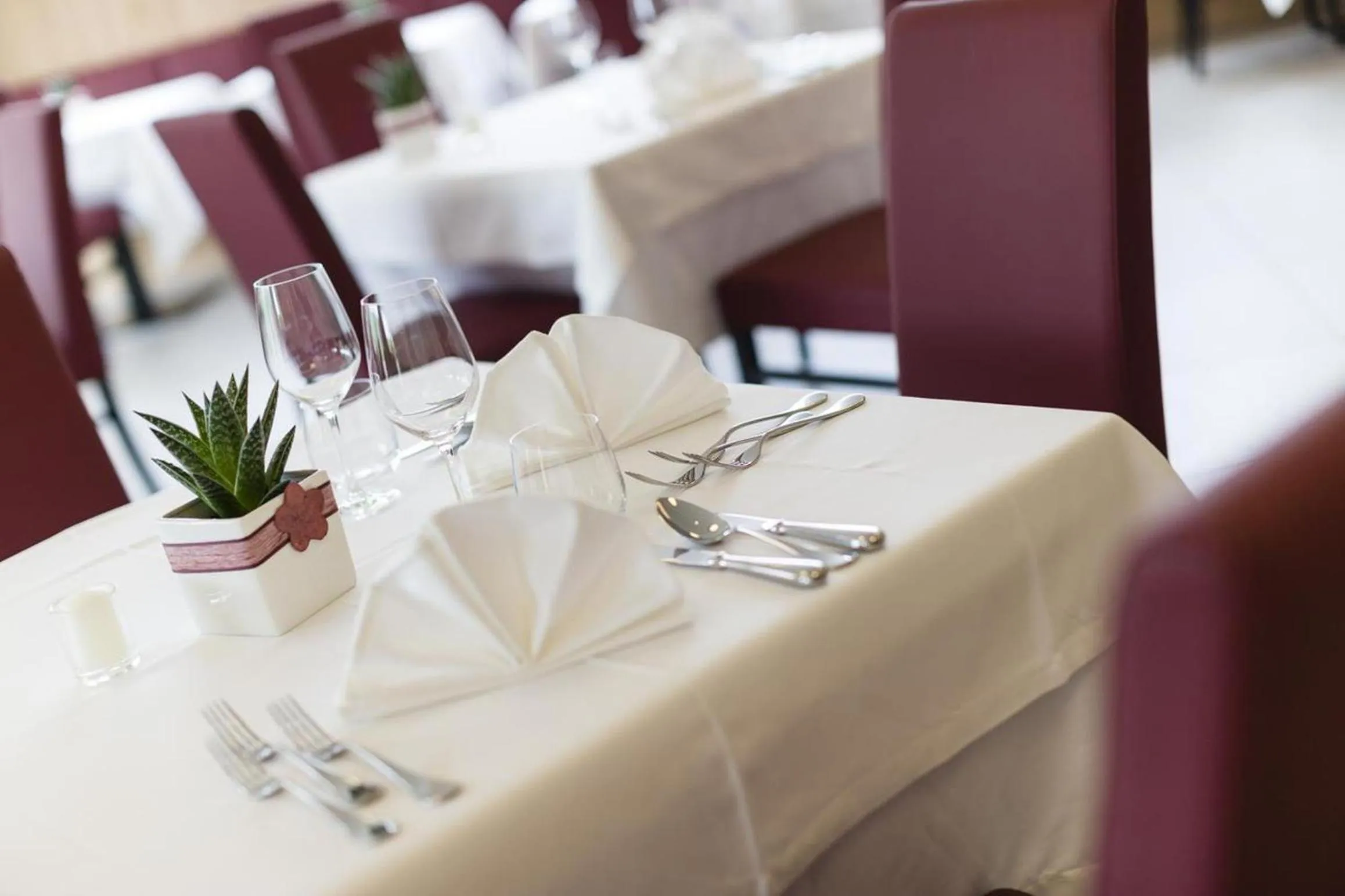 Restaurant/places to eat in Pension Hasslhof