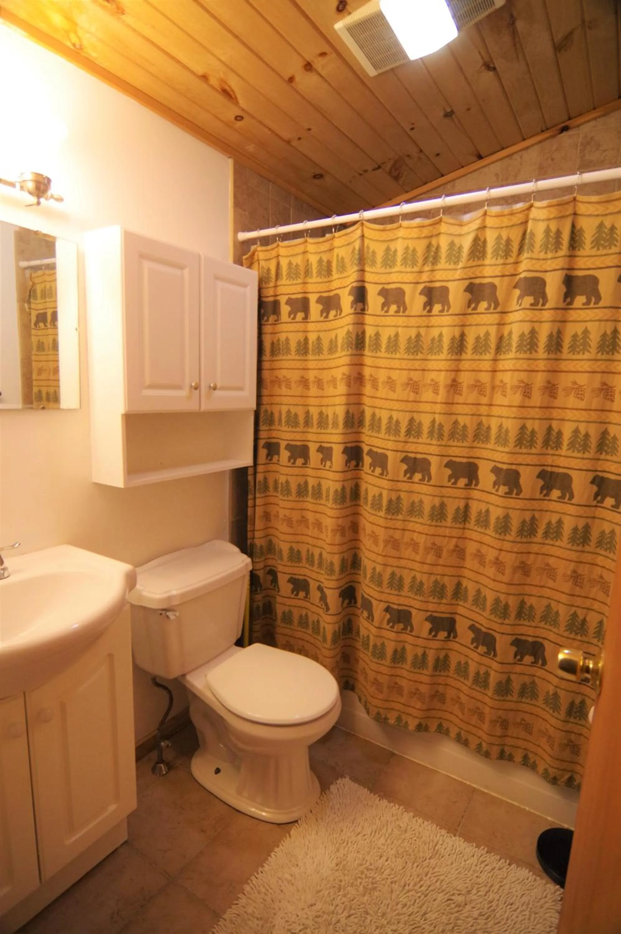 Adirondack Diamond Point Lodge