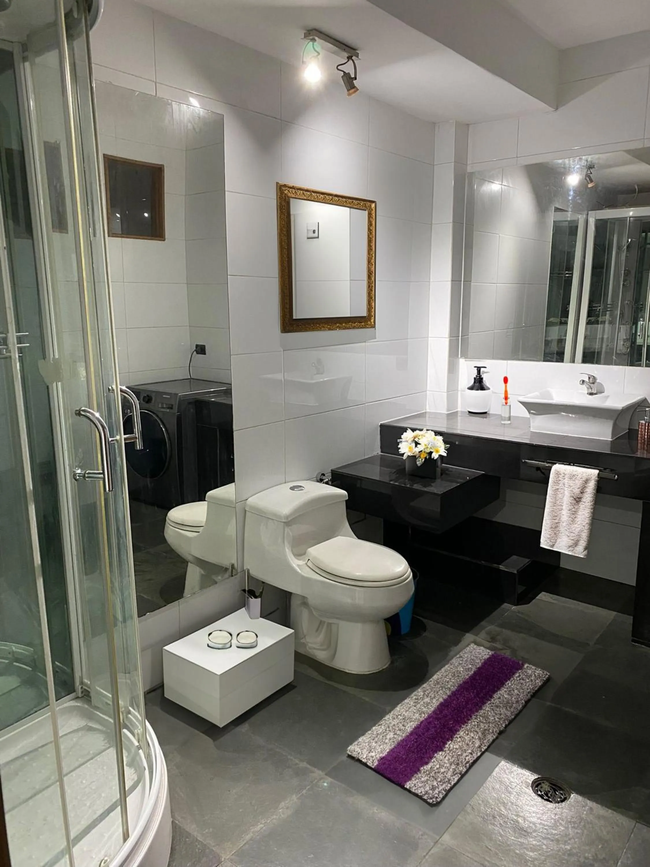 Toilet in Hotel Inside Santiago, Diseñado para ti.