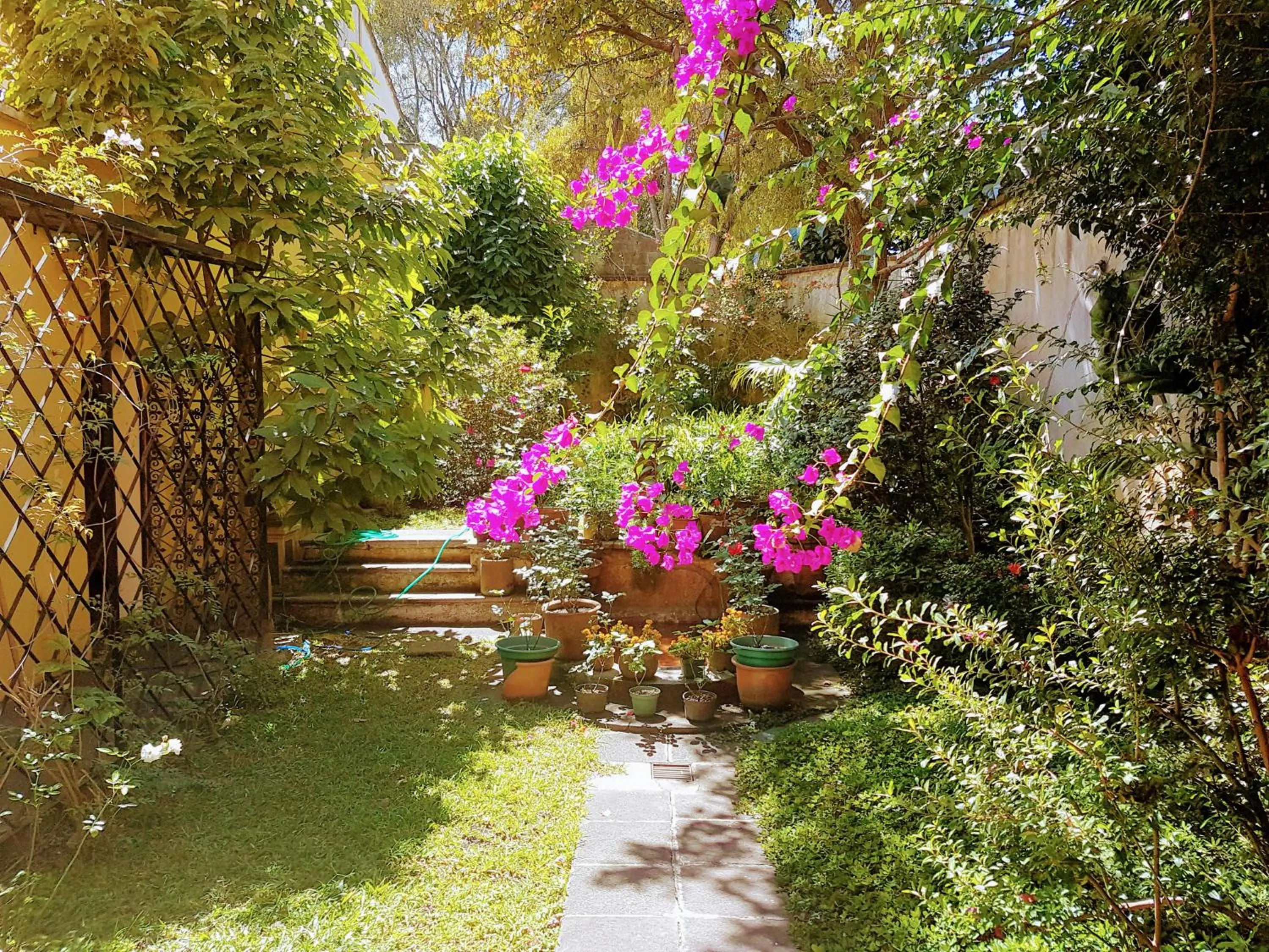 Patio in Casa Carmel Bed & Breakfast
