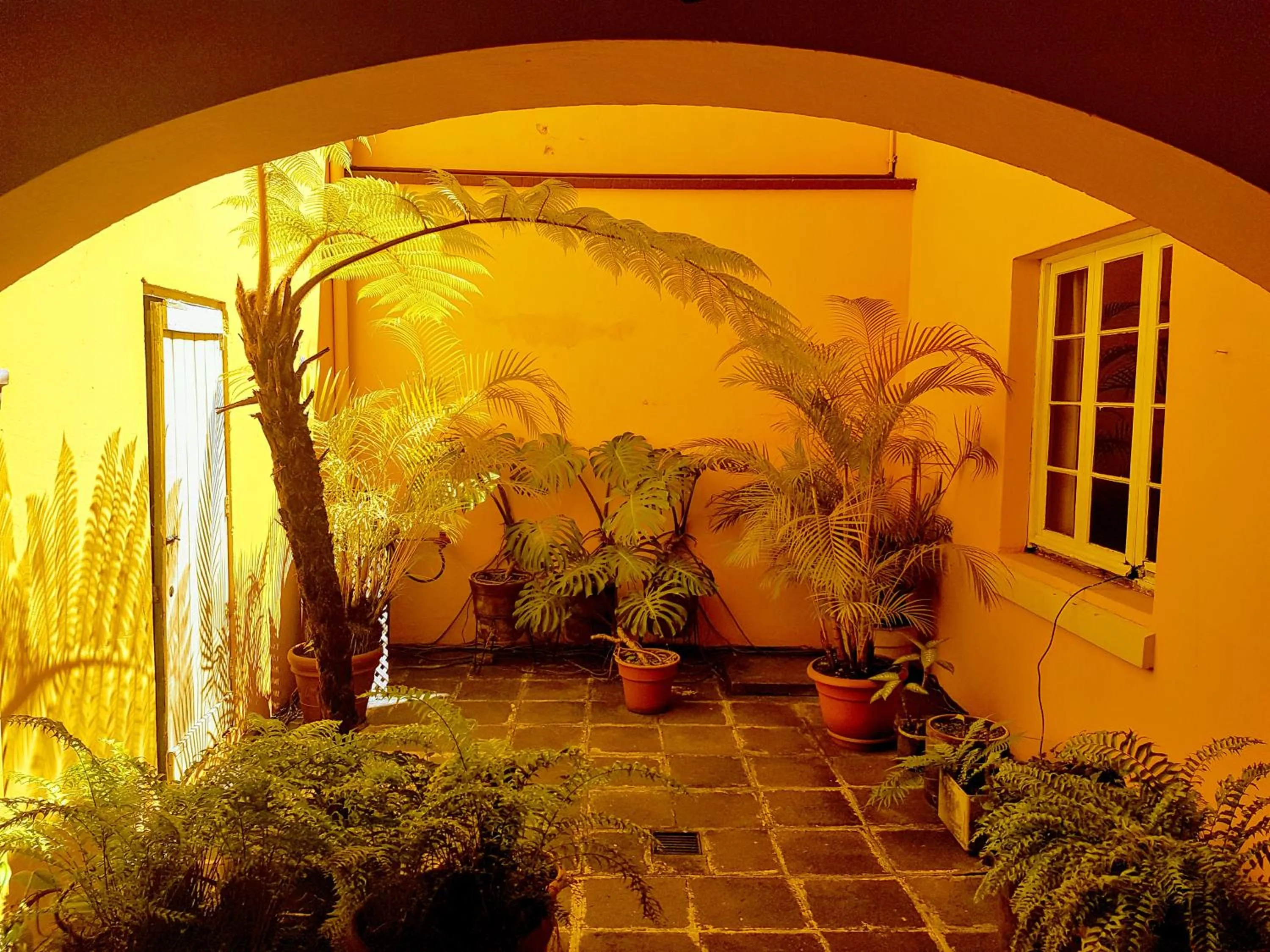 Patio in Casa Carmel Bed & Breakfast