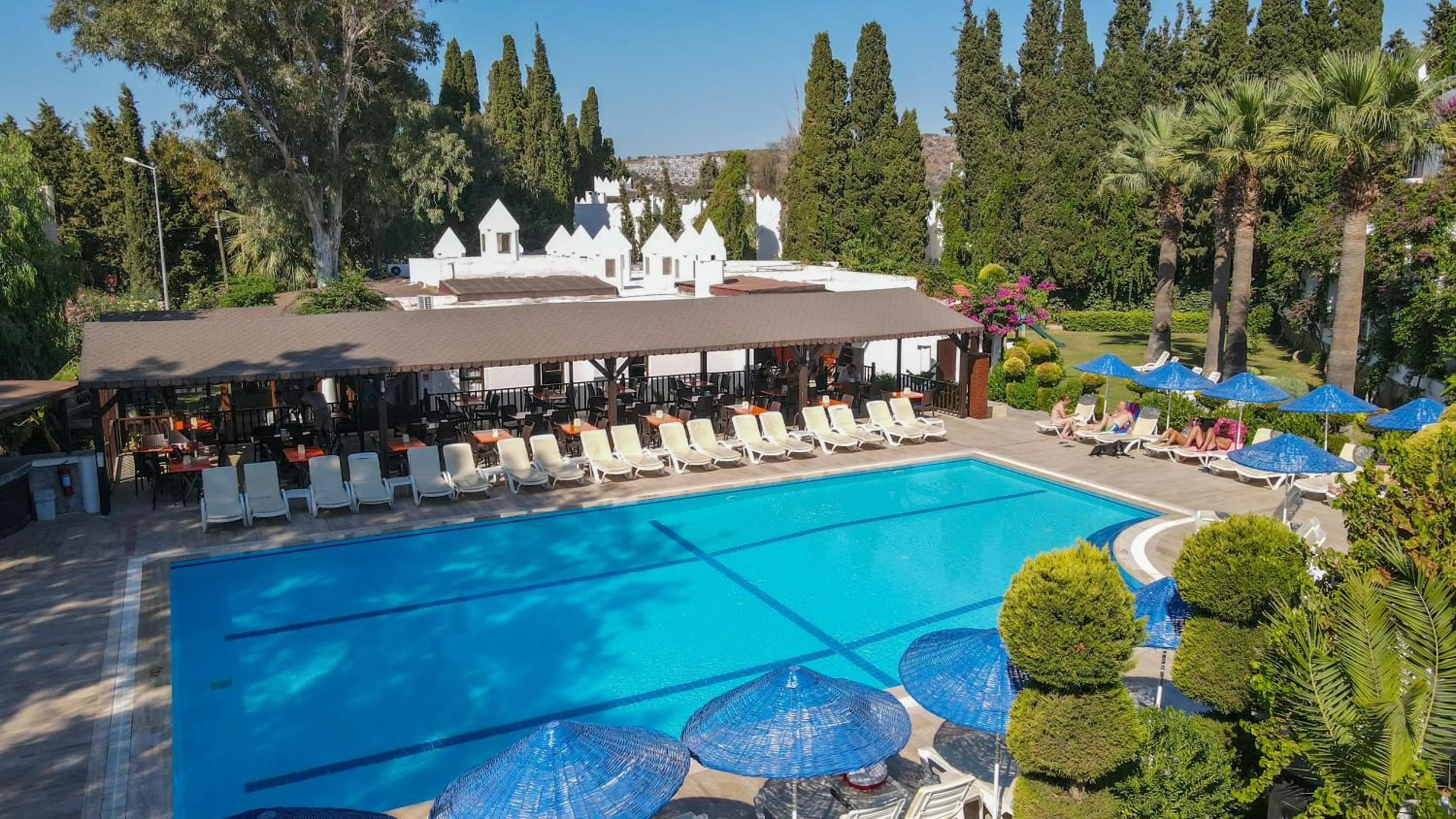 Pool view in Natur Garden Hotel