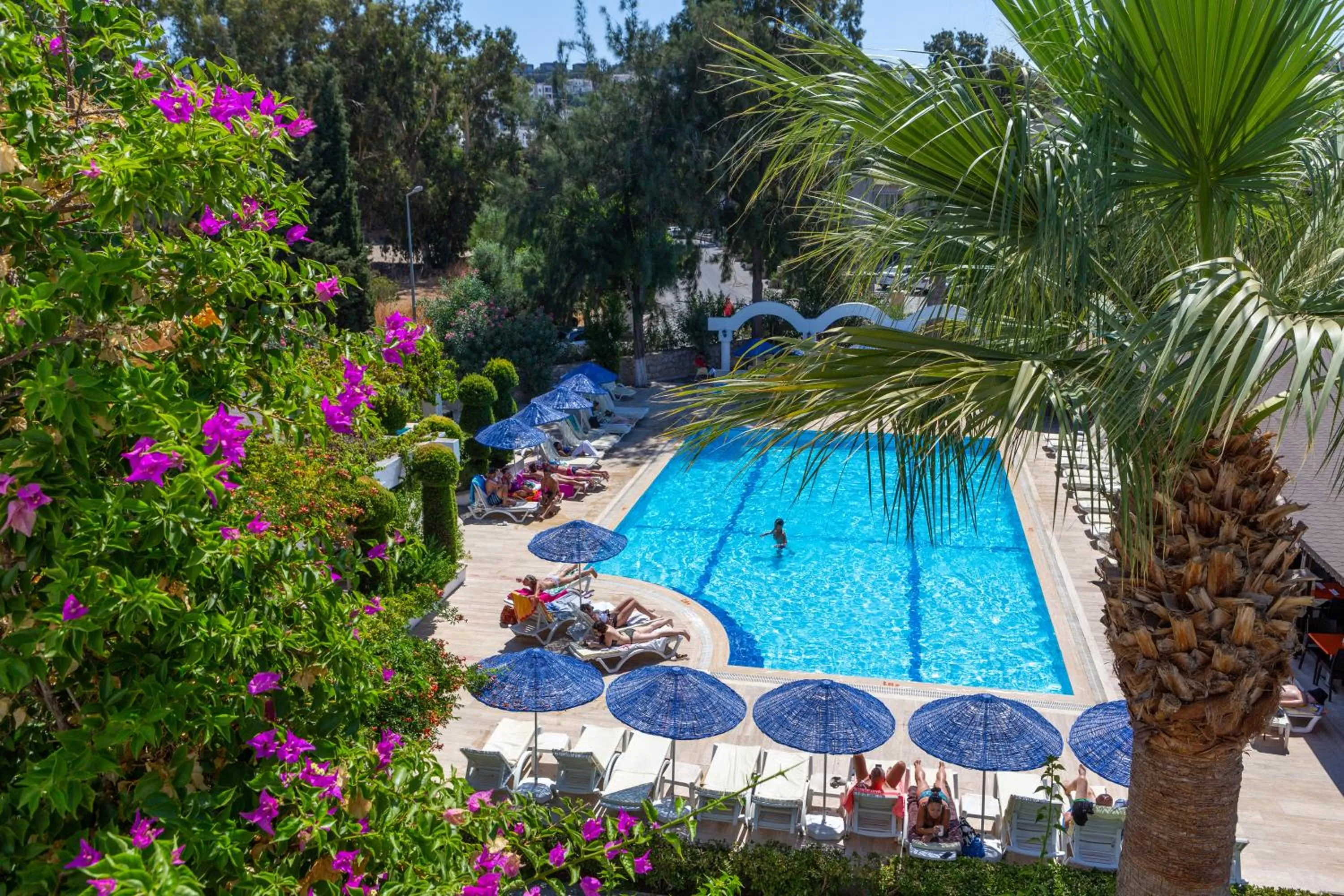 Swimming pool in Natur Garden Hotel