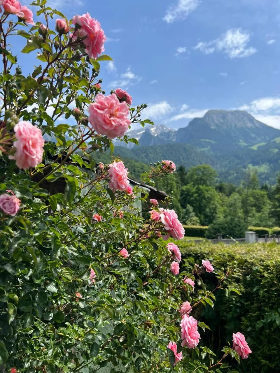 Day in Aparthotel Hochfeld