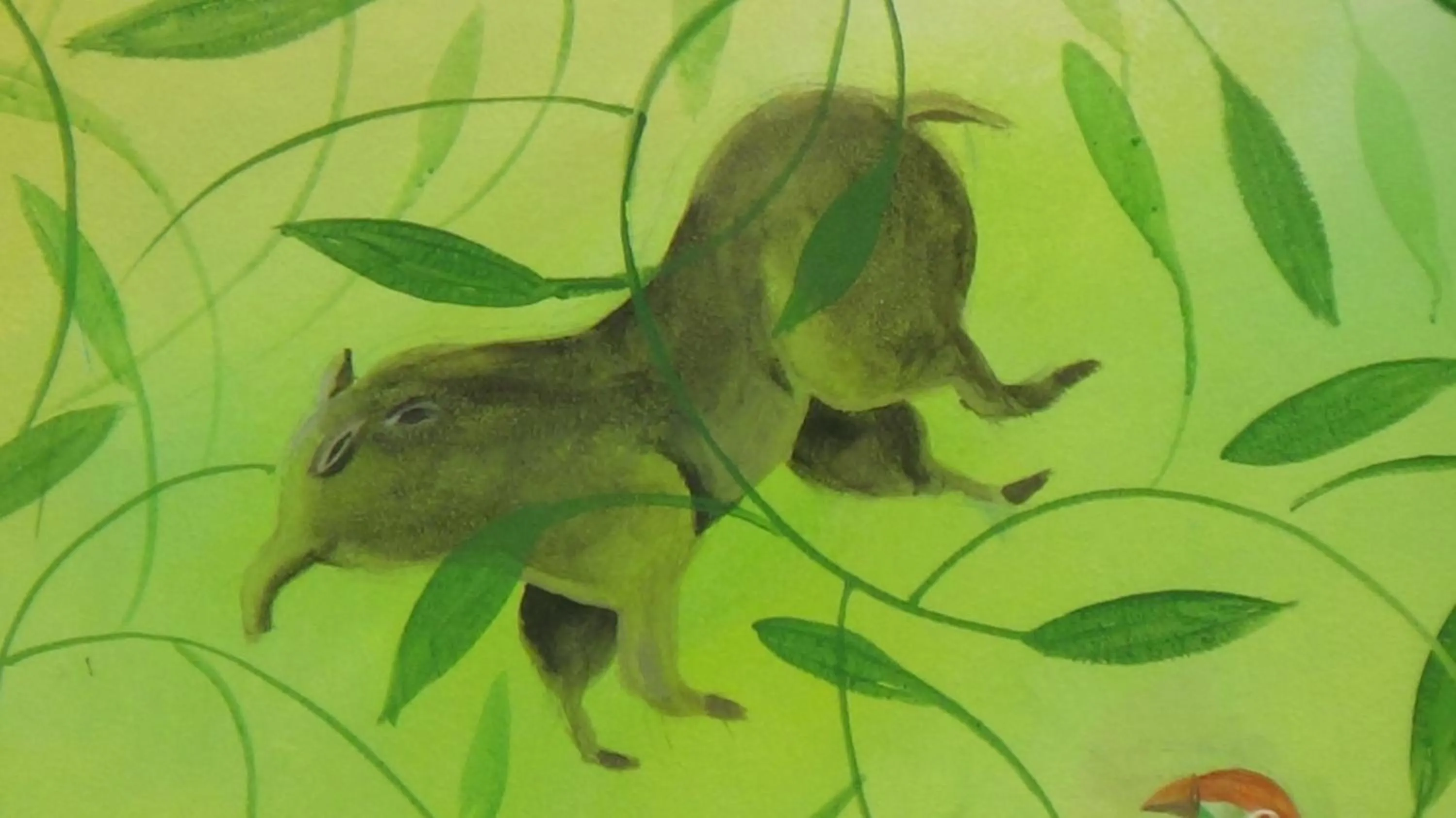 Facade/entrance in Hacienda Tropical Guest House