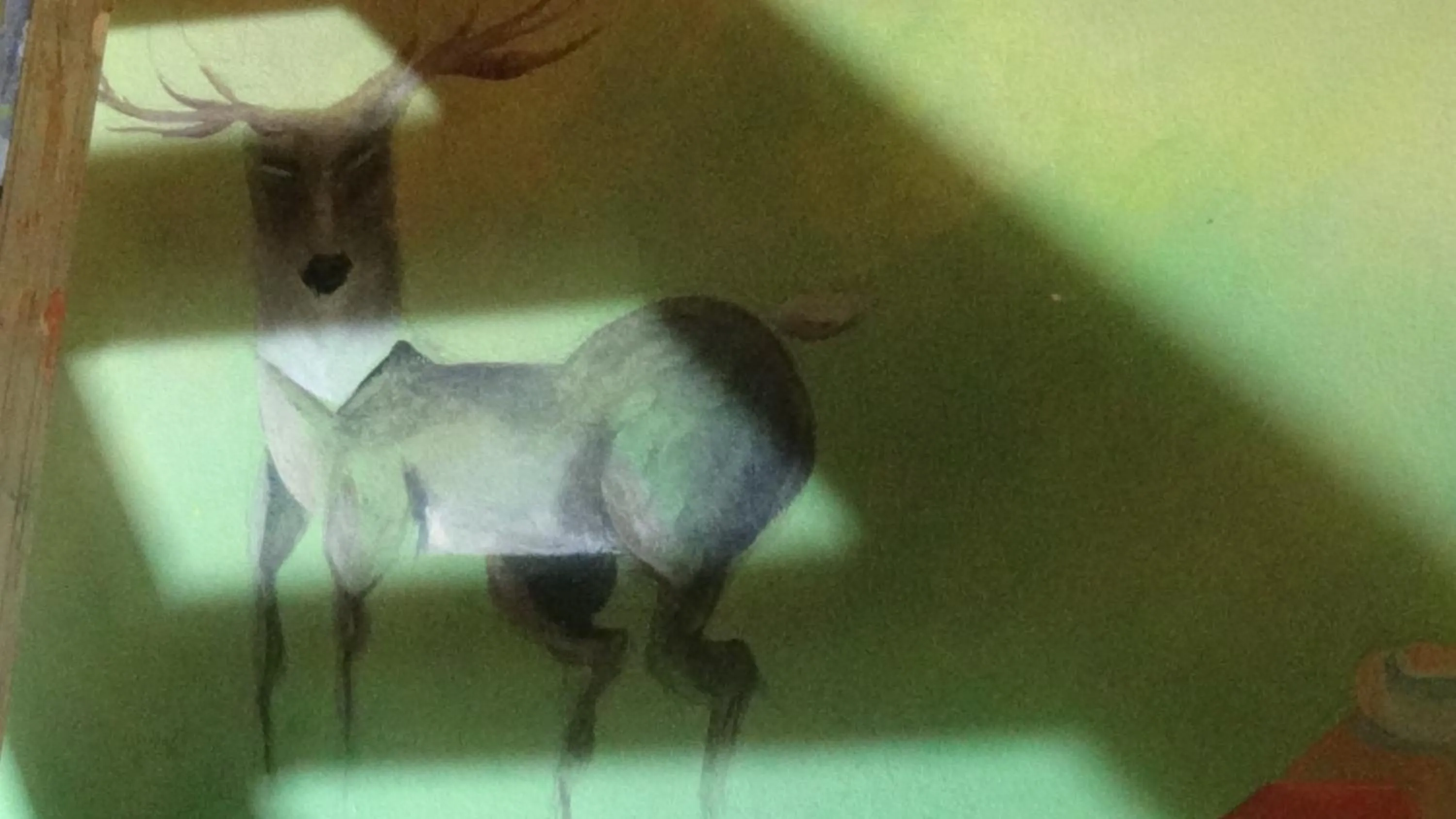 Night in Hacienda Tropical Guest House