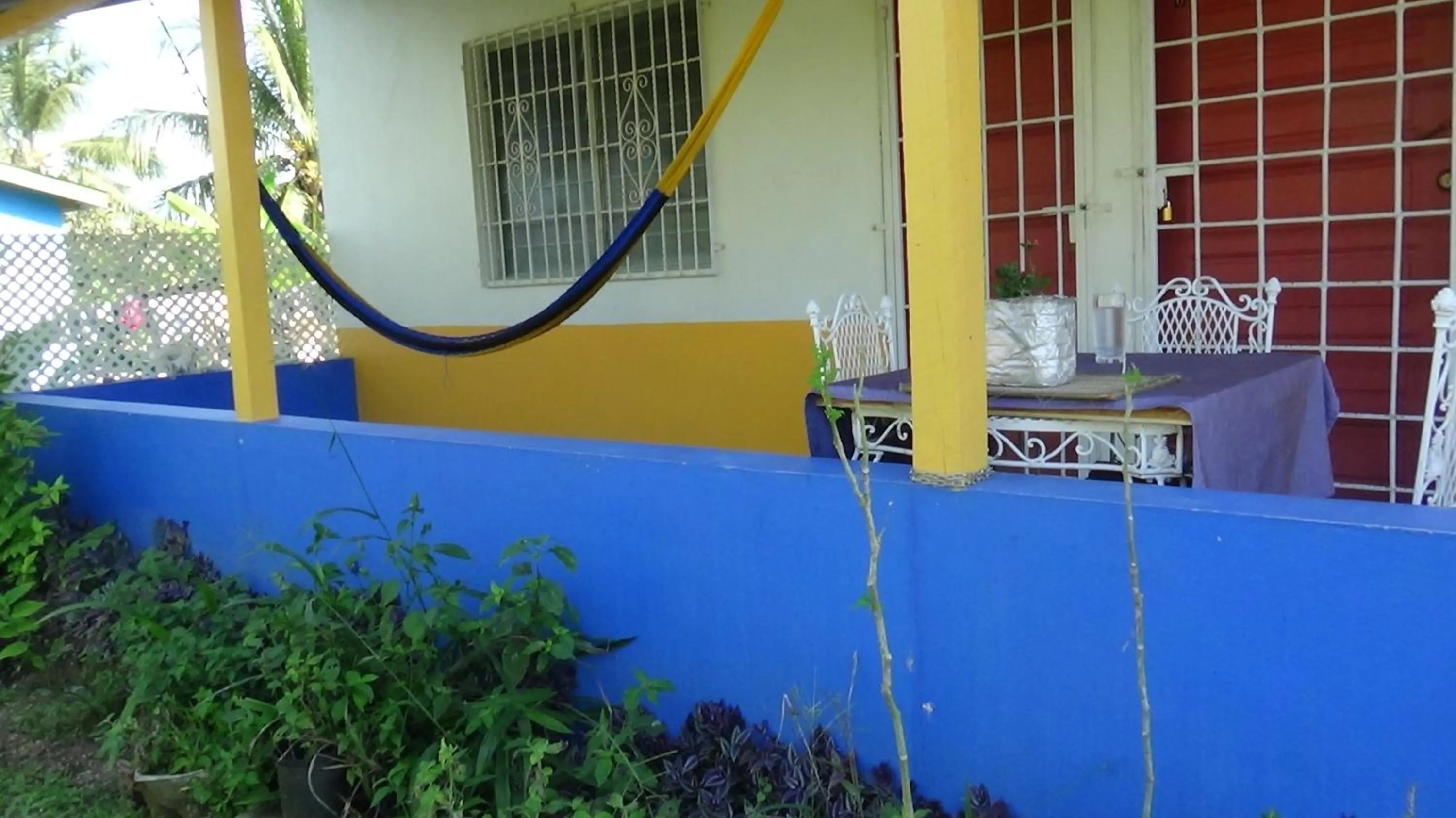 Balcony/Terrace in Hacienda Tropical Guest House