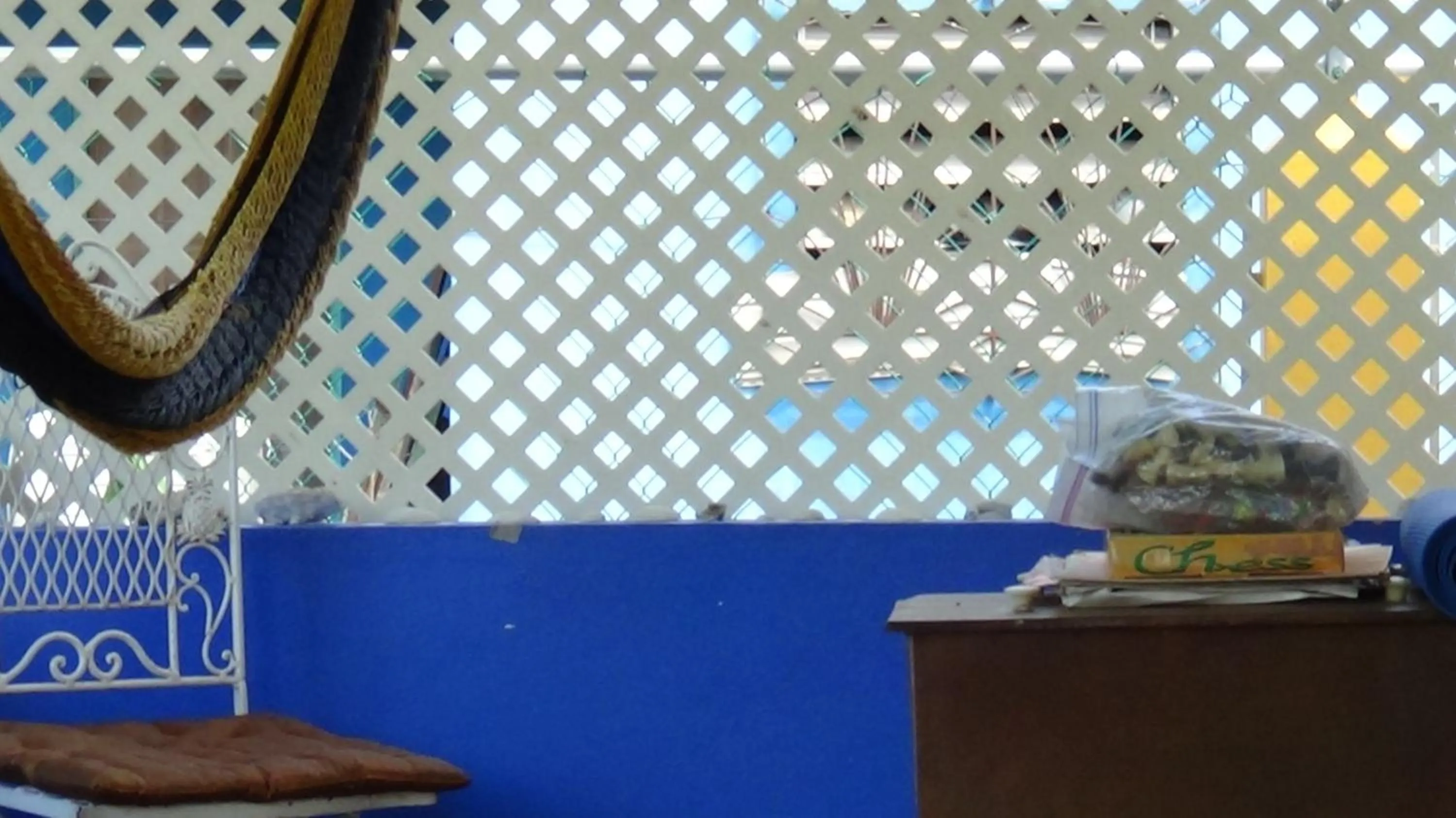 Activities in Hacienda Tropical Guest House