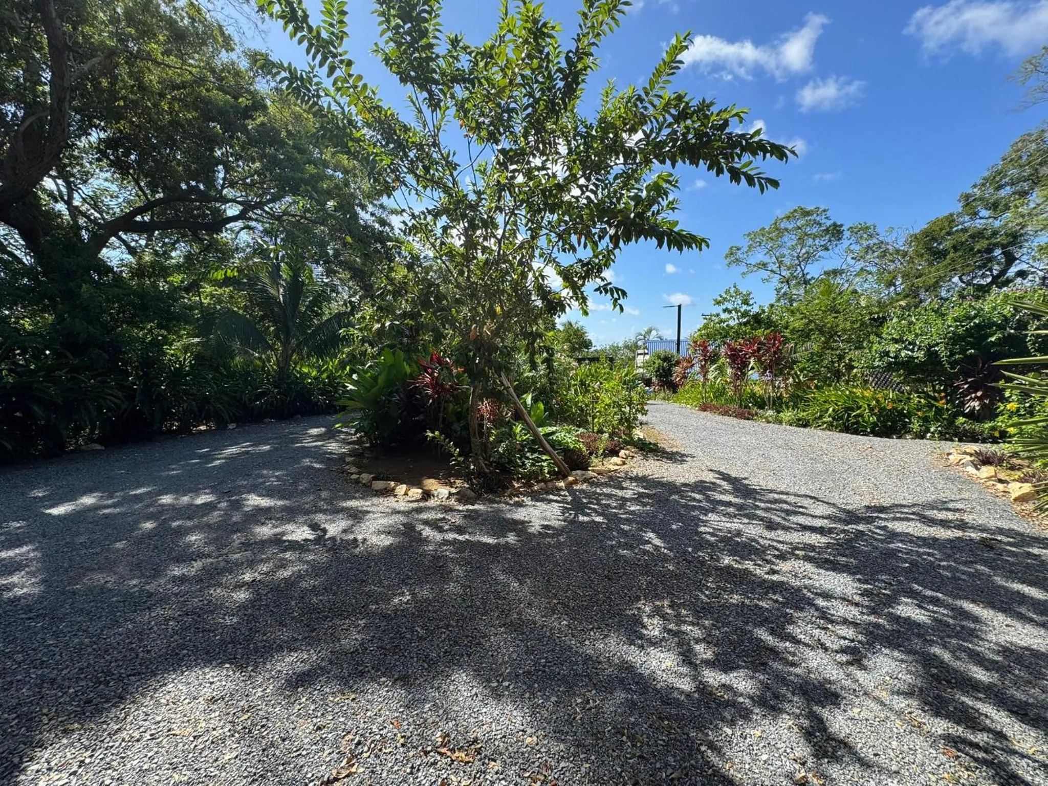 View (from property/room) in Guava Grove Resort & Villas