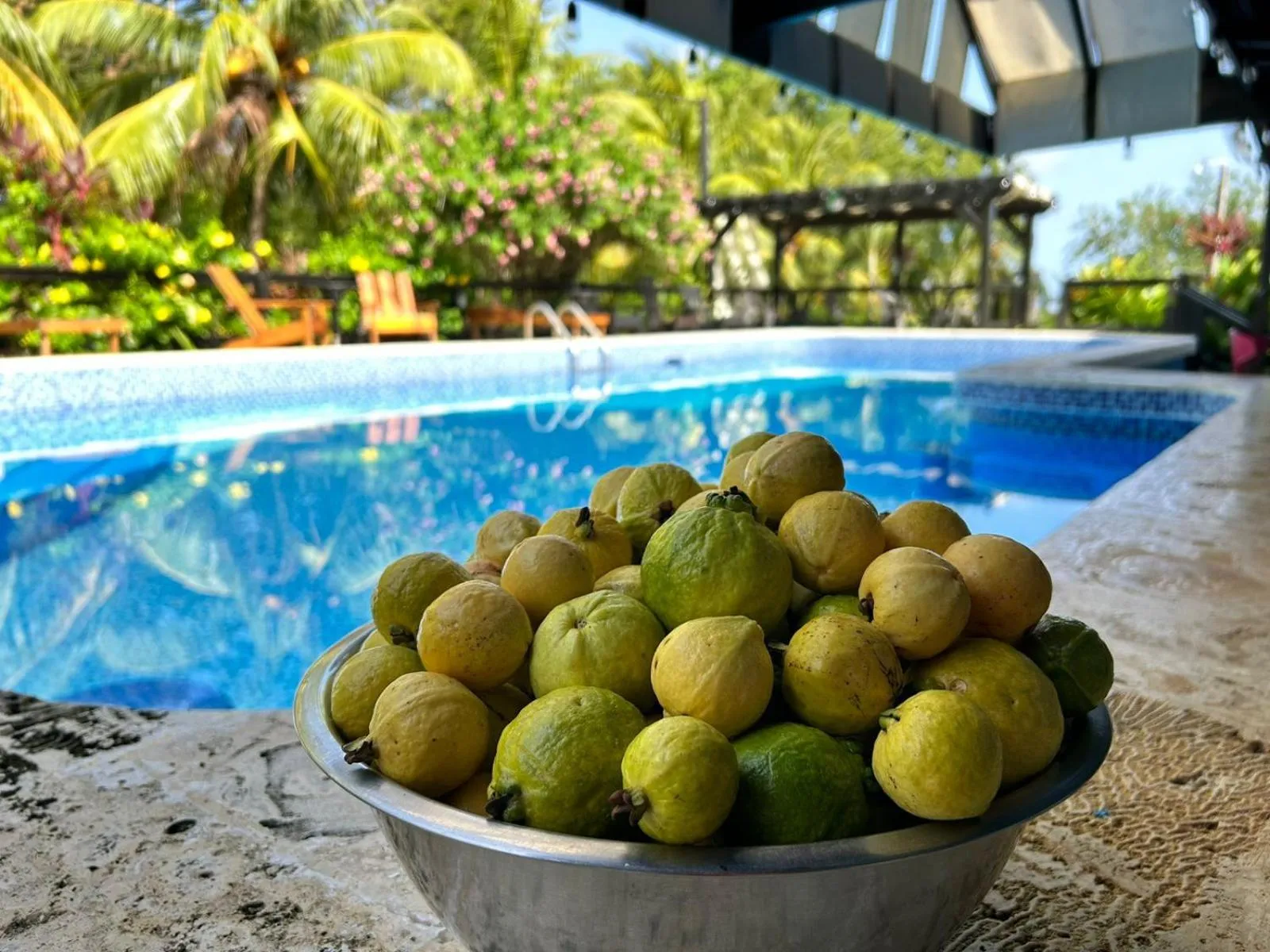 Restaurant/places to eat in Guava Grove Resort & Villas