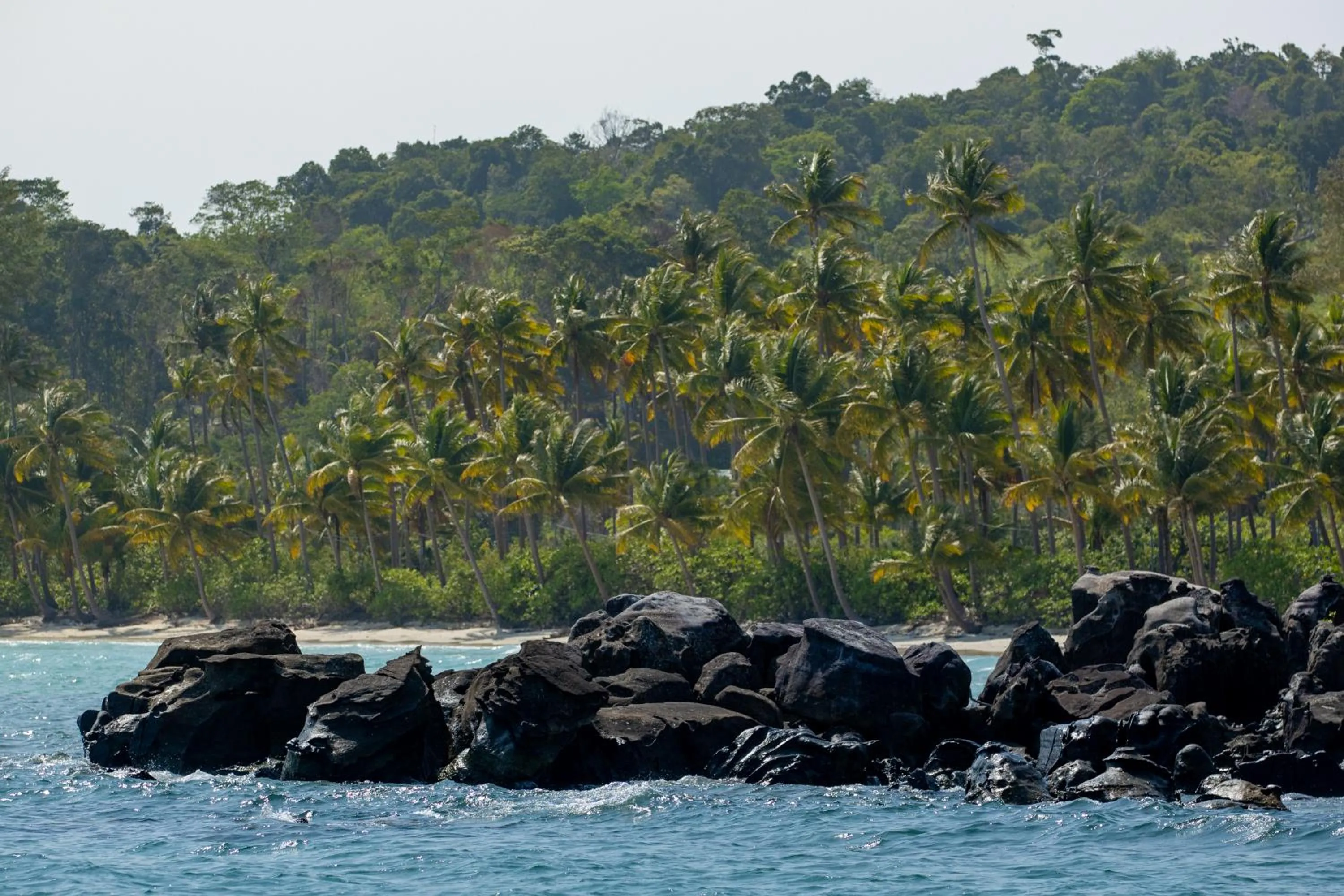 Property building in Bird Nest Villas by Mafiya