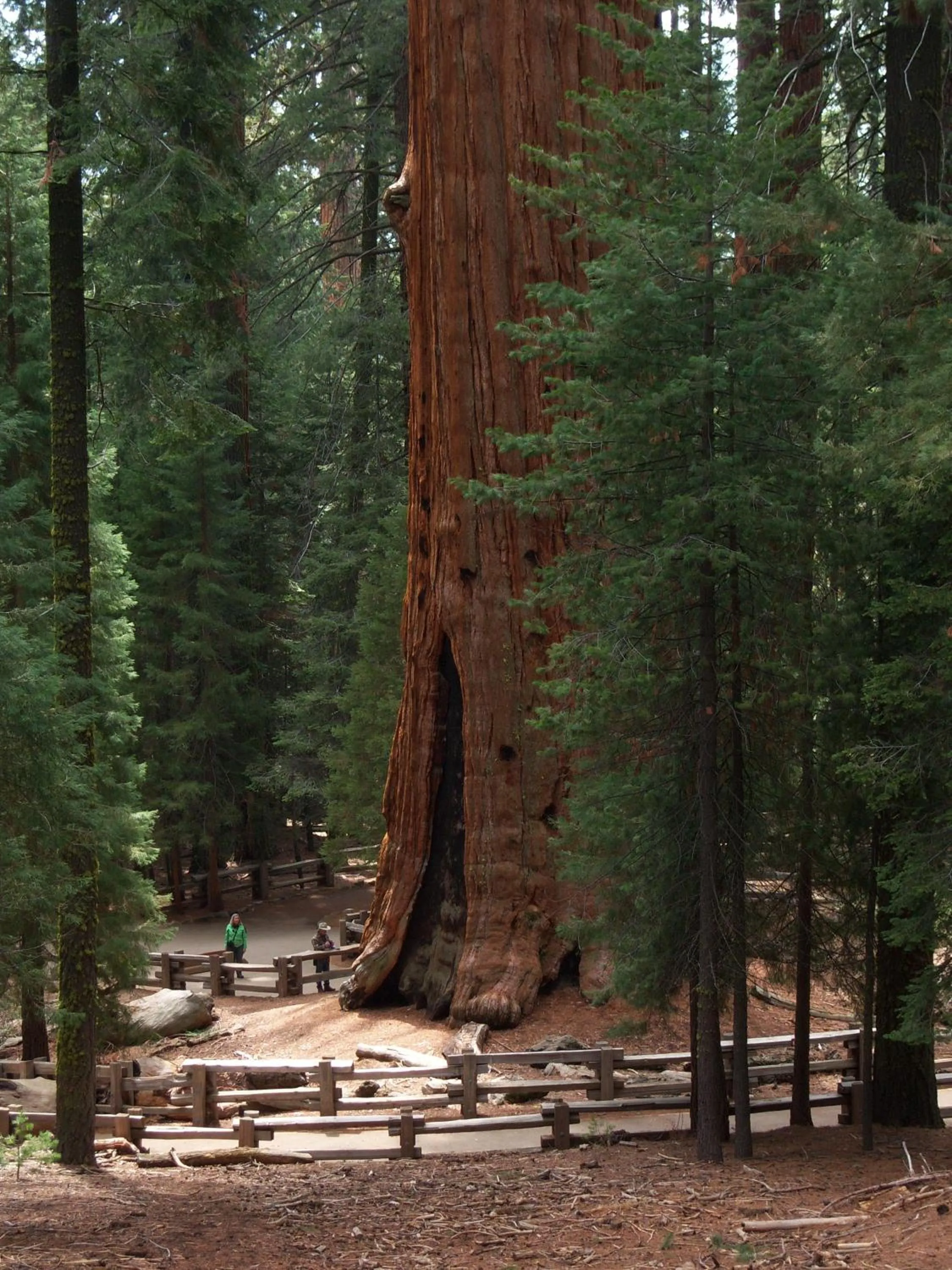 Hiking in The Parks Inn