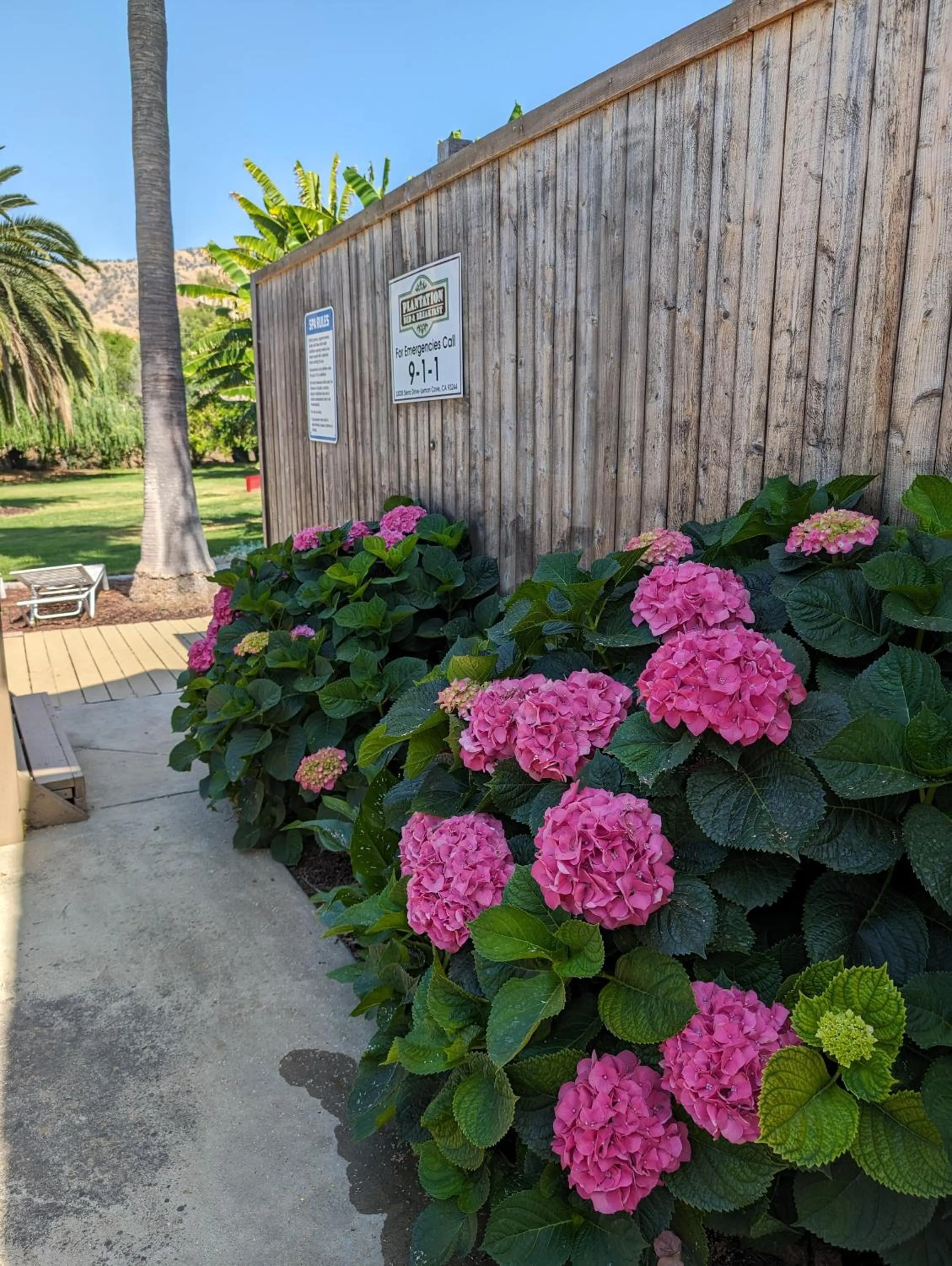 Spring in The Parks Inn