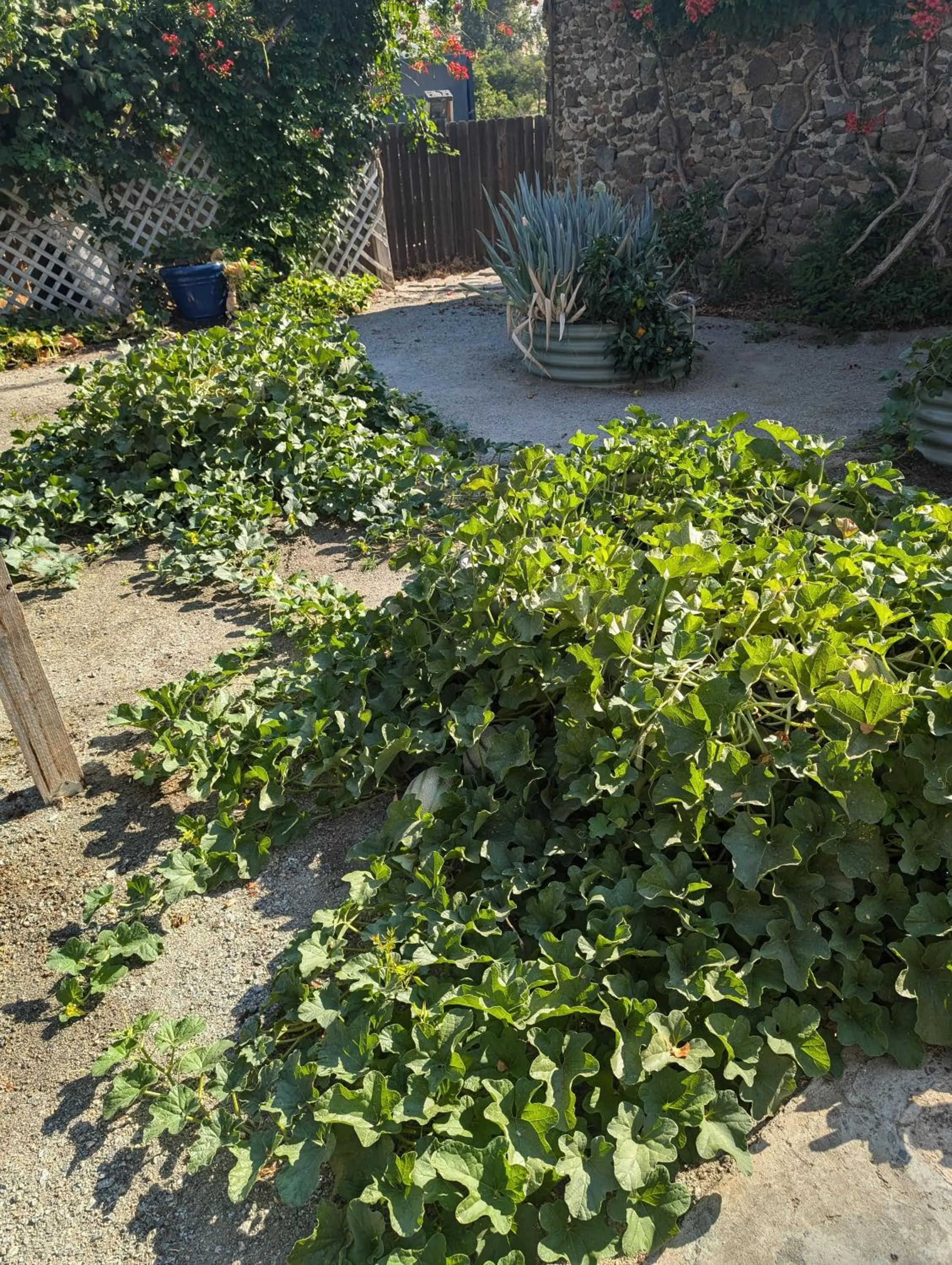 Day in The Parks Inn