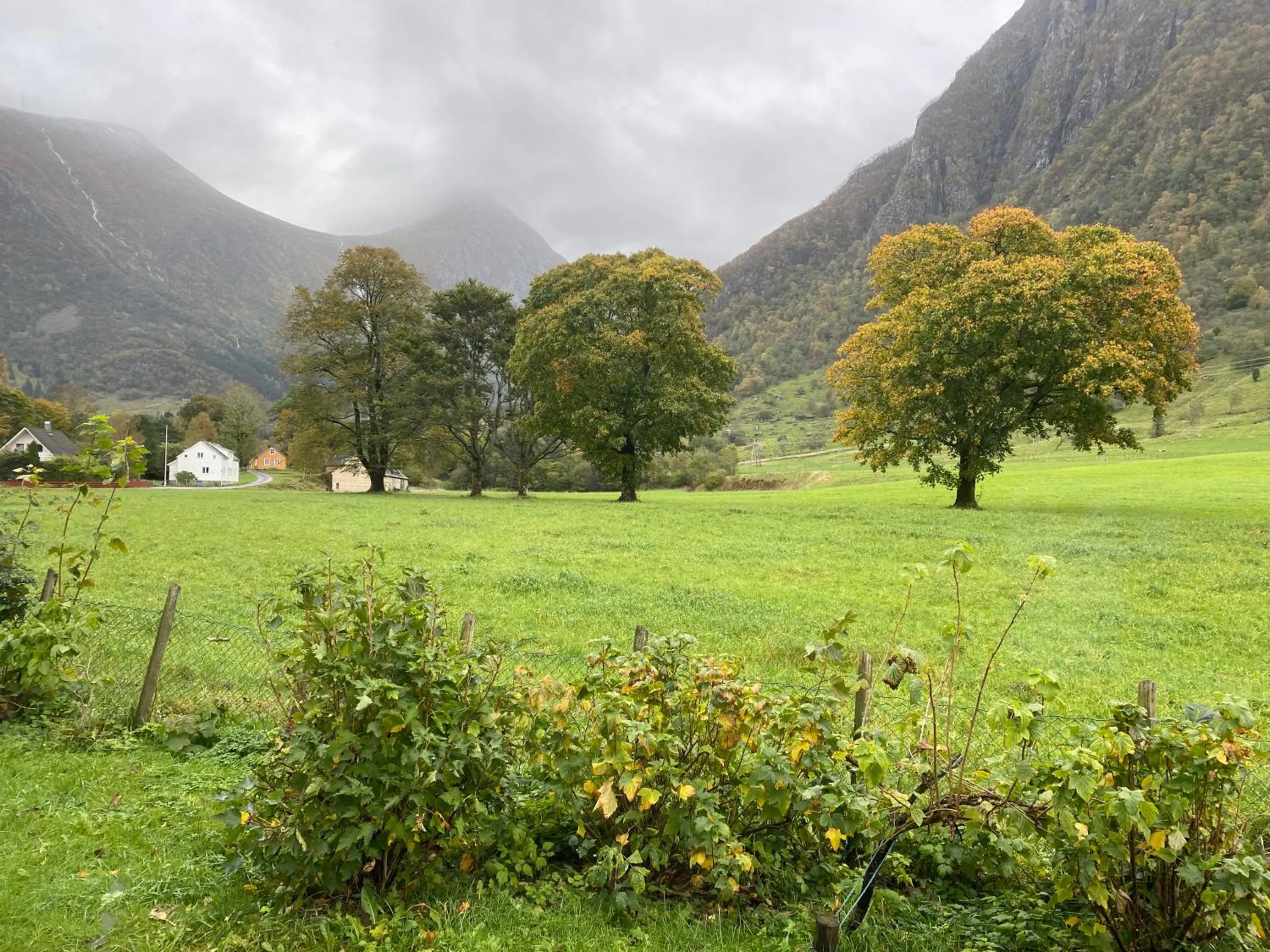 Mountain view in Rosendal Apartments Motellet