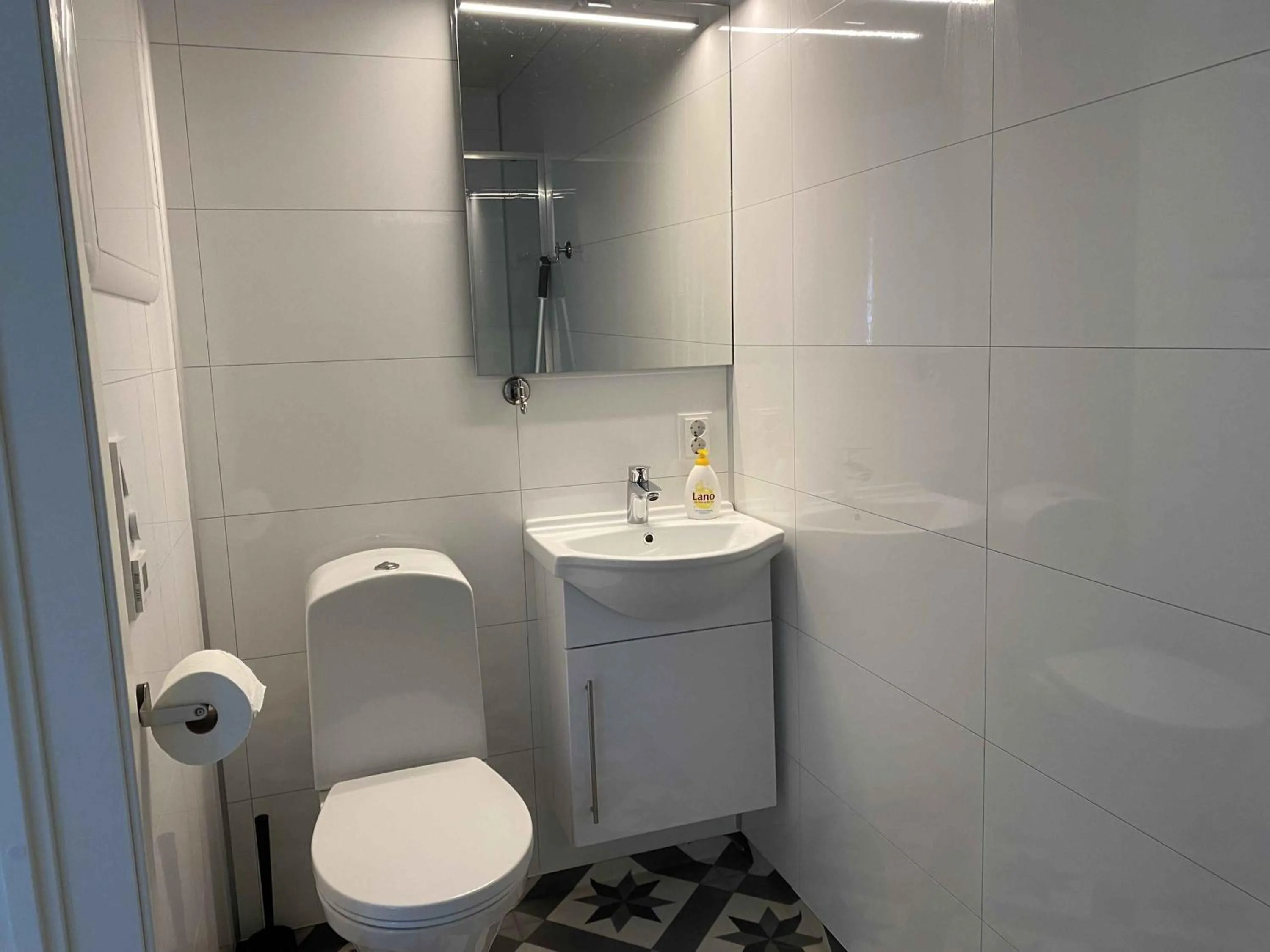 Toilet in Rosendal Apartments Motellet