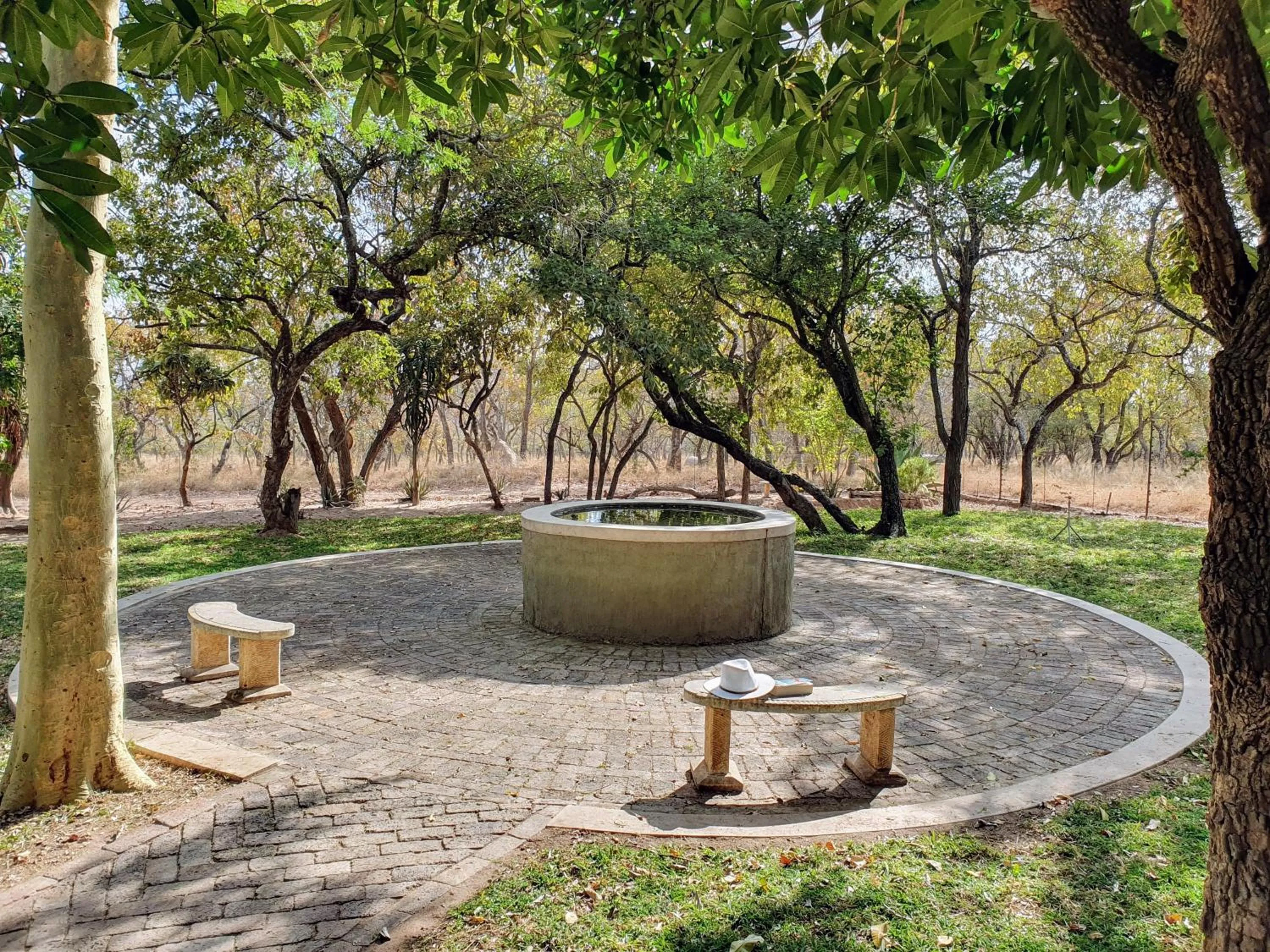 Garden view in Kingfisher Creek Safari Cottages