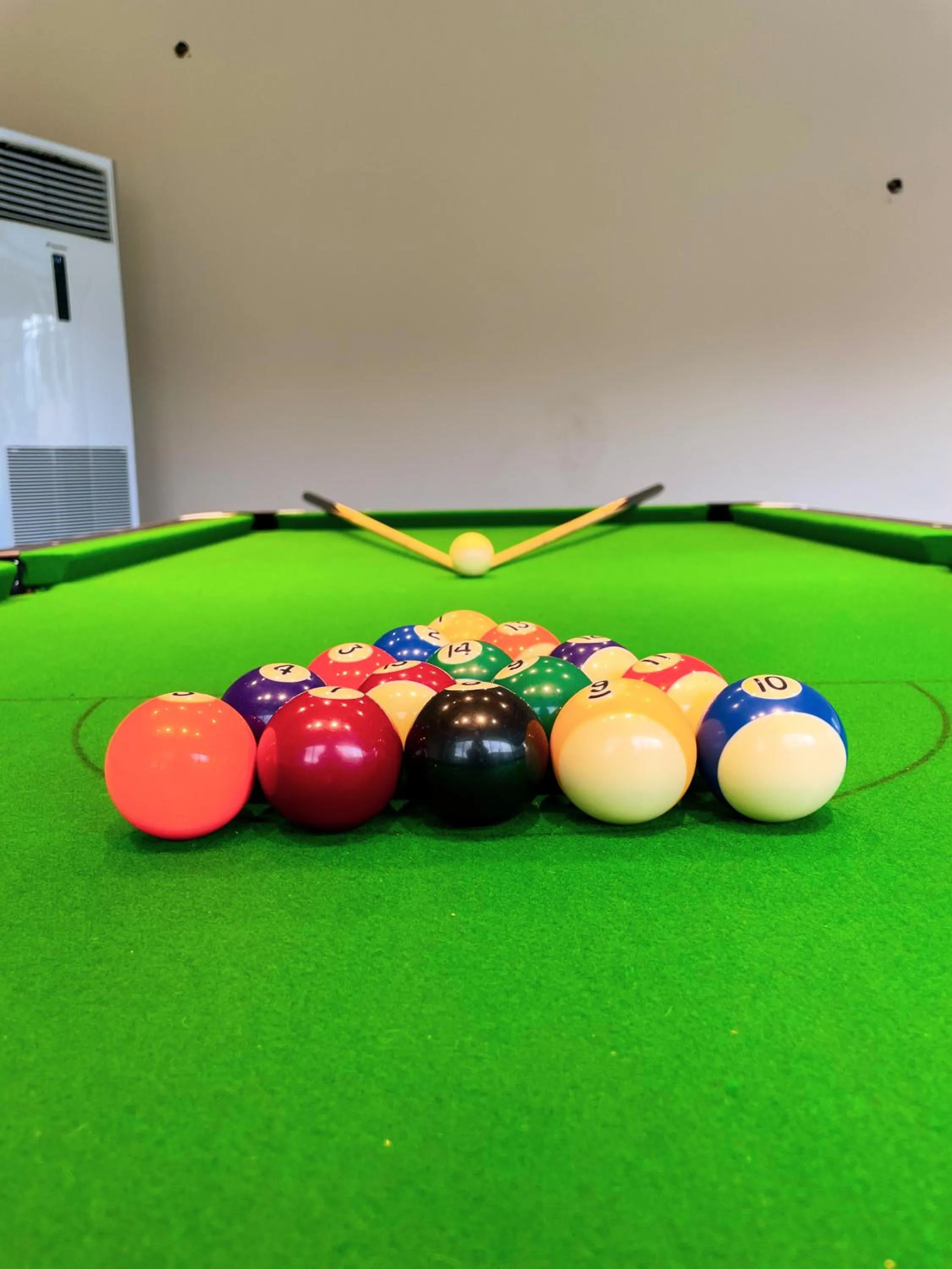 Billiard in Villament Zinc Journey By The Fern, Karjat