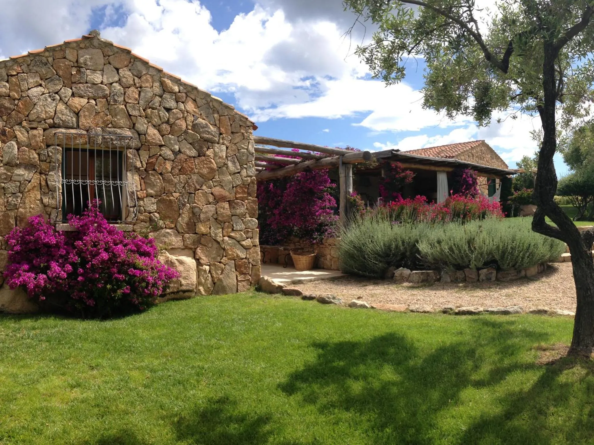 Property building in Albero Capovolto