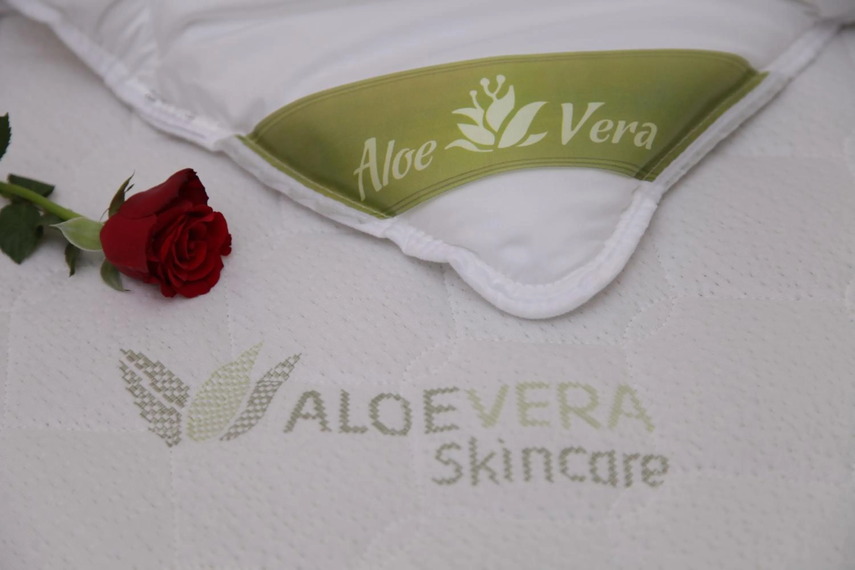 Decorative detail in Primus Hotel & Apartments