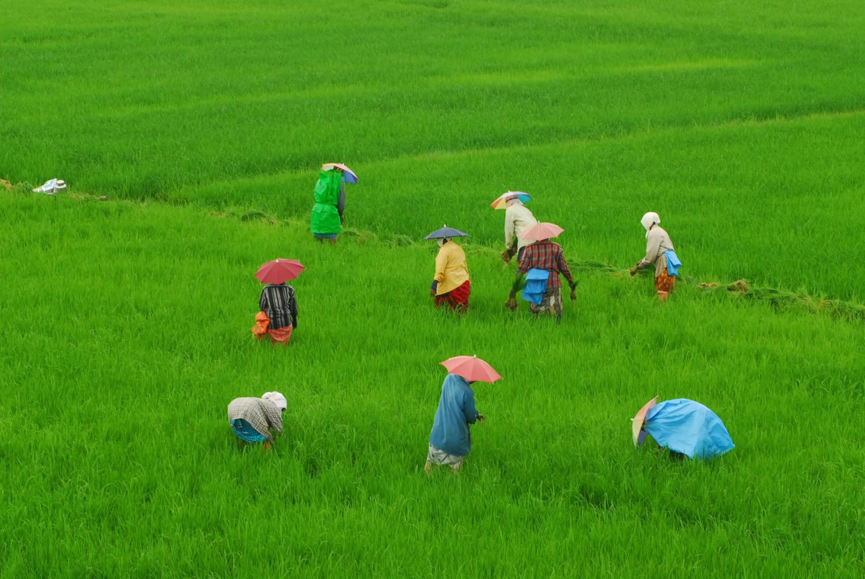 Other in Raheem Heritage Beach Resort Since 1868