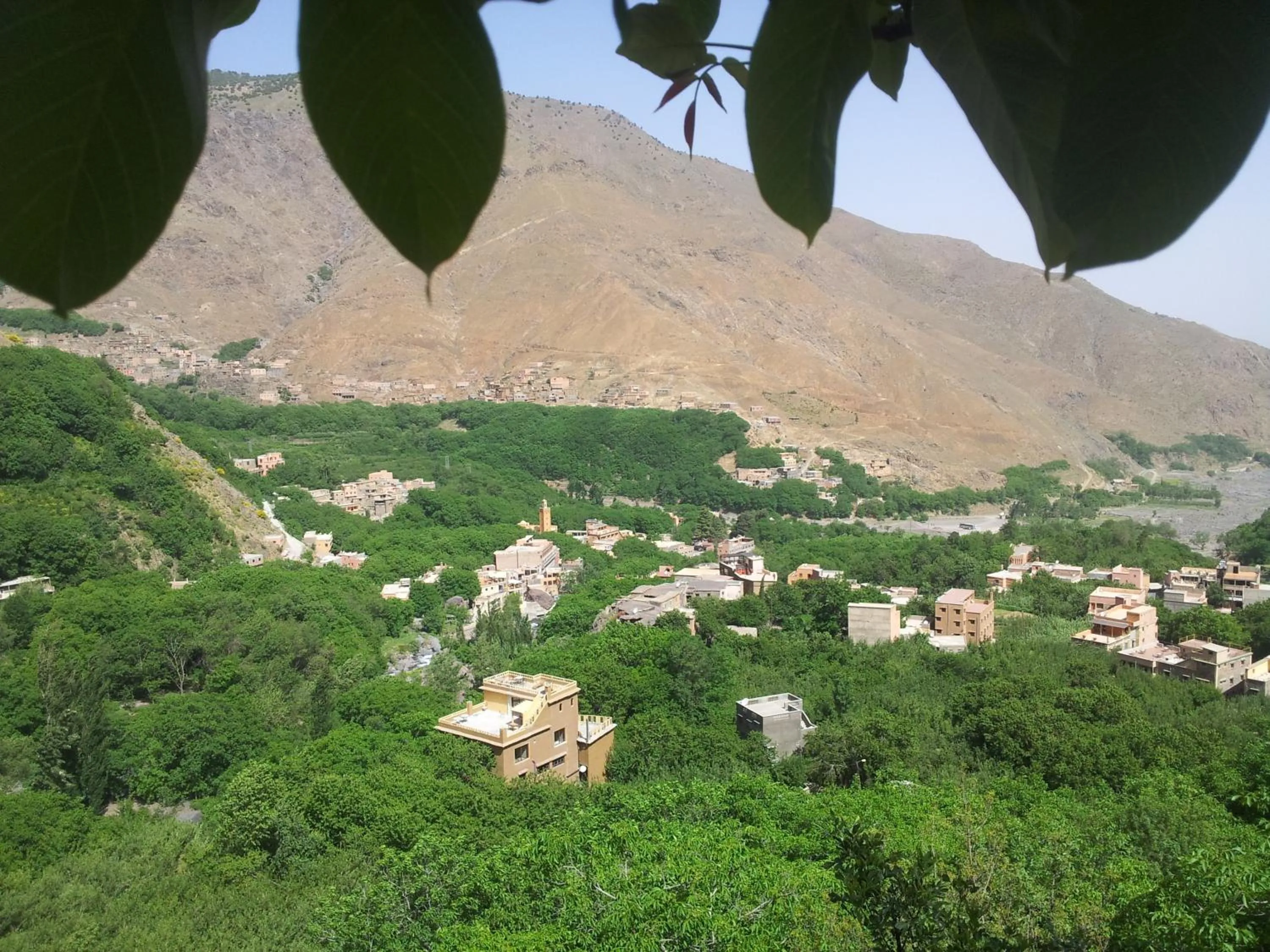 View (from property/room) in Riad Jnane Imlil