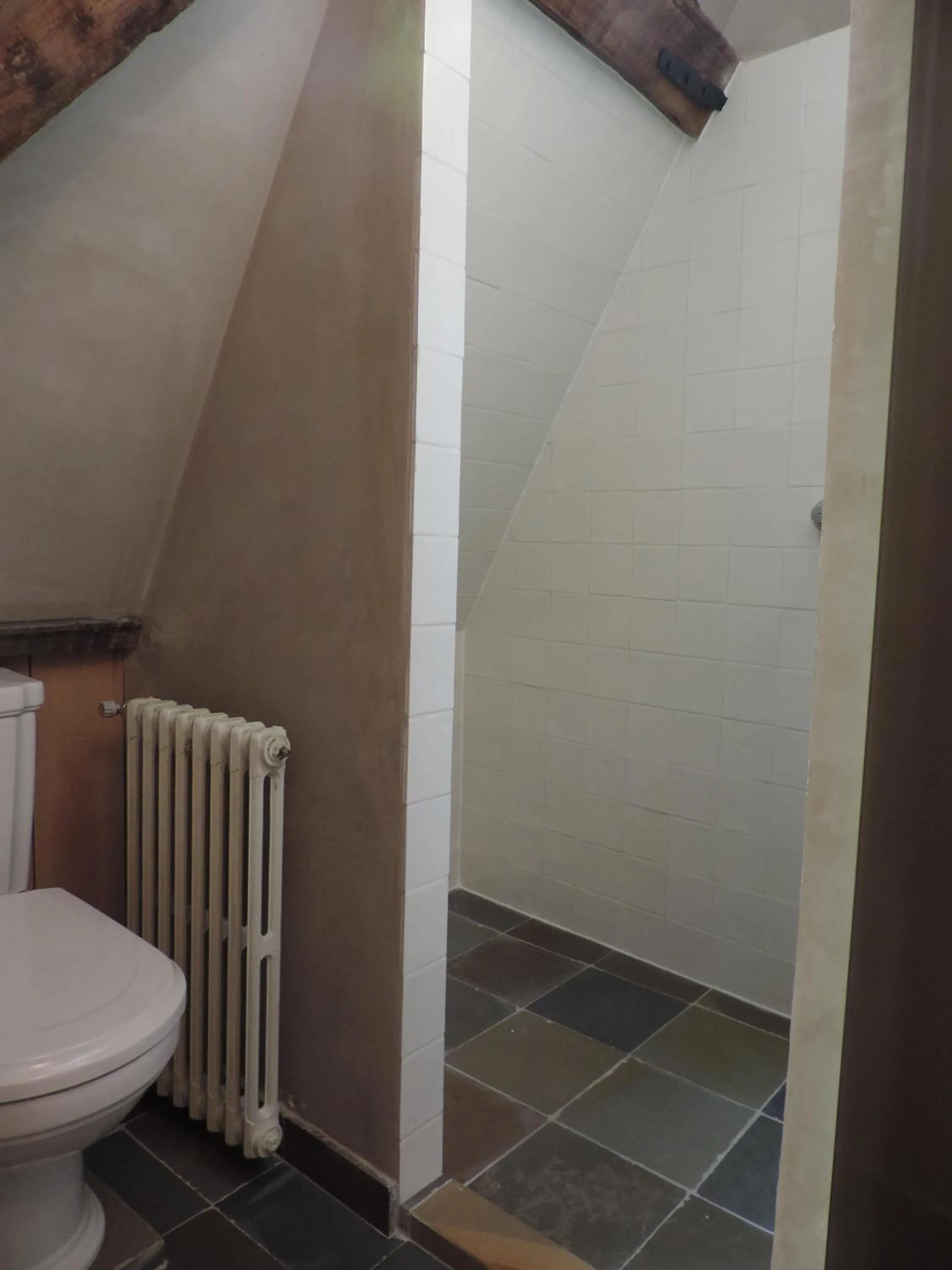 Toilet in B&B Saint-Sauveur Bruges