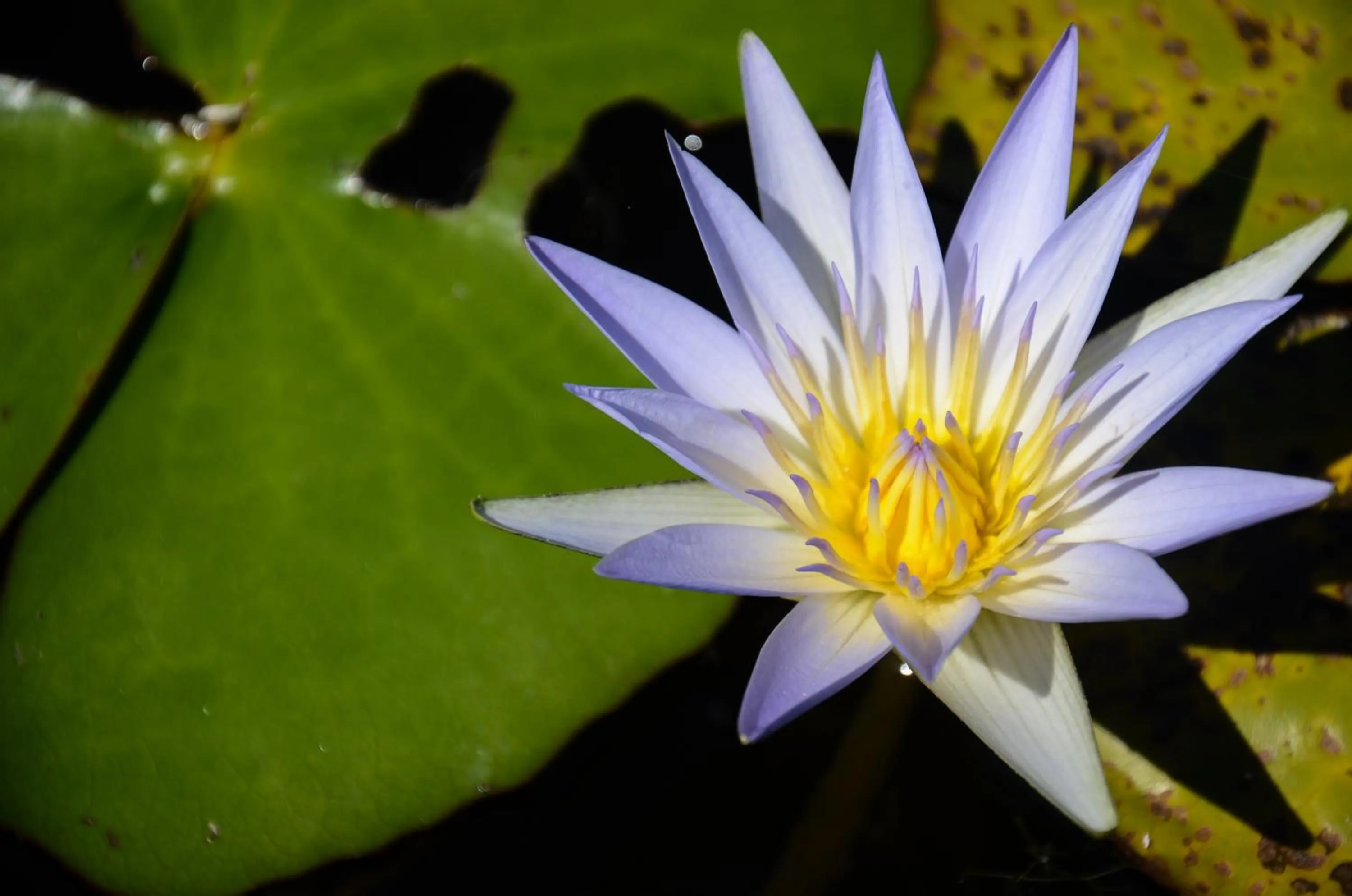 Natural landscape in Pousada Xaxá