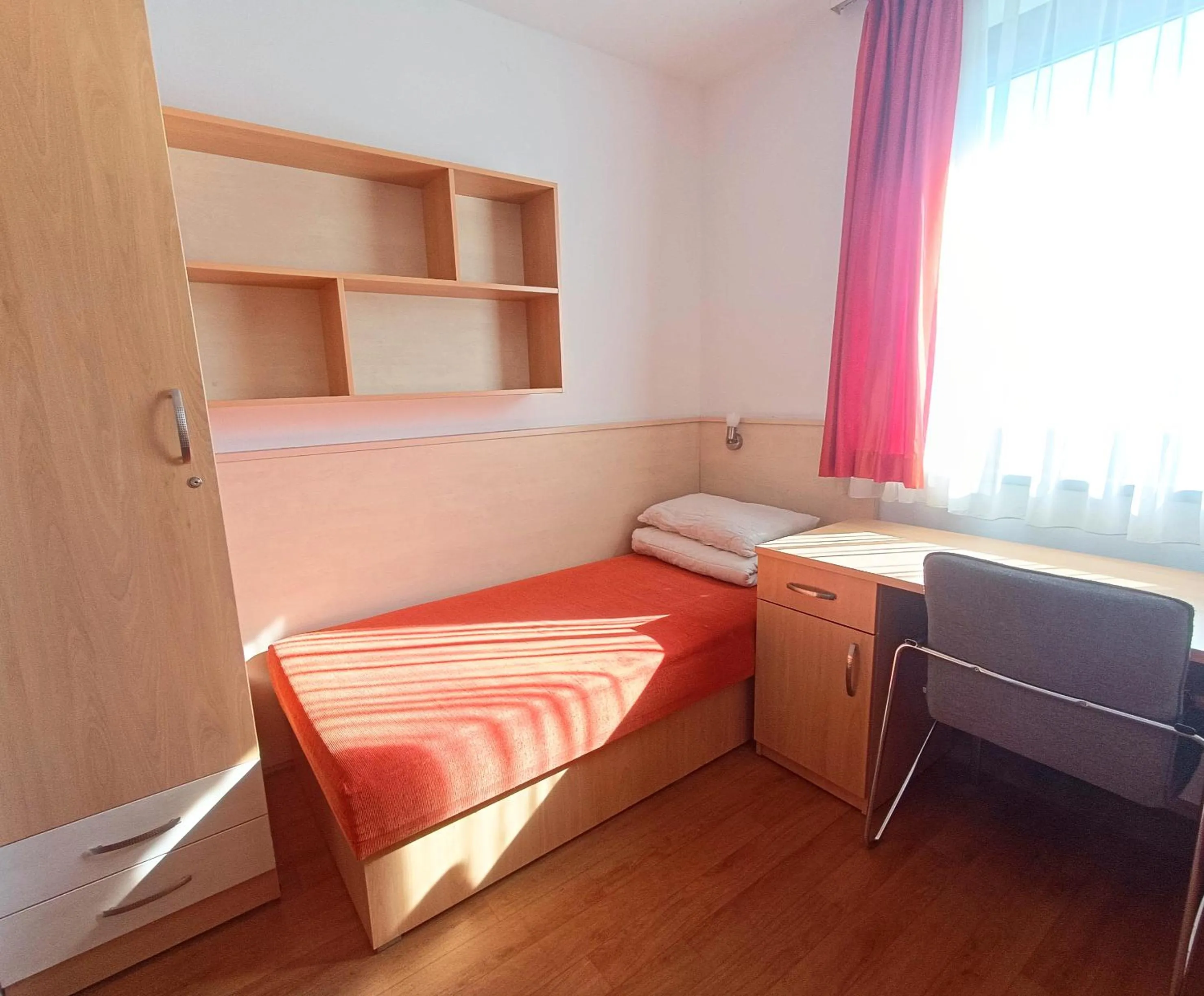 Decorative detail in Famulus Kollégium