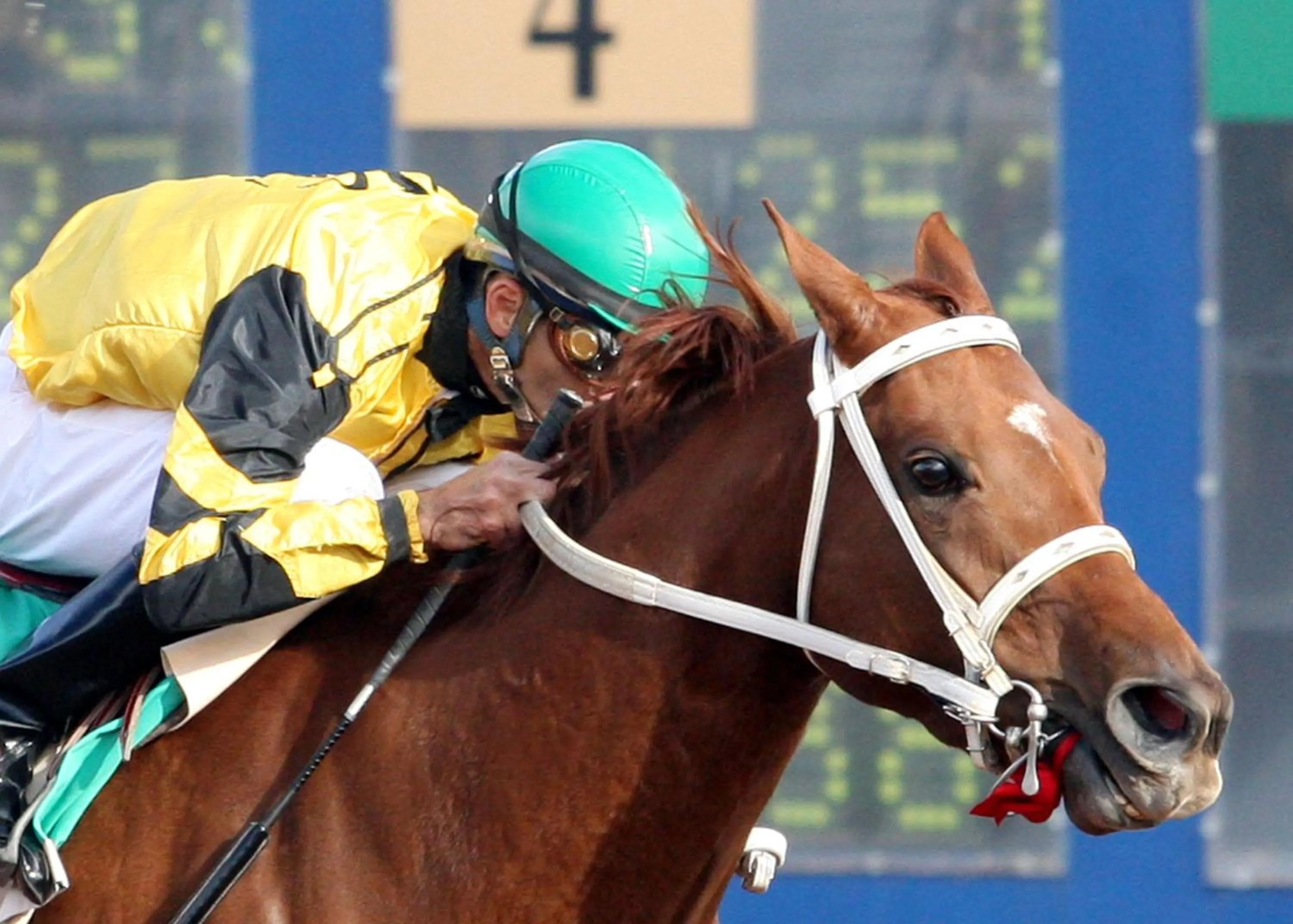 On site in Zia Park Casino, Hotel, & Racetrack