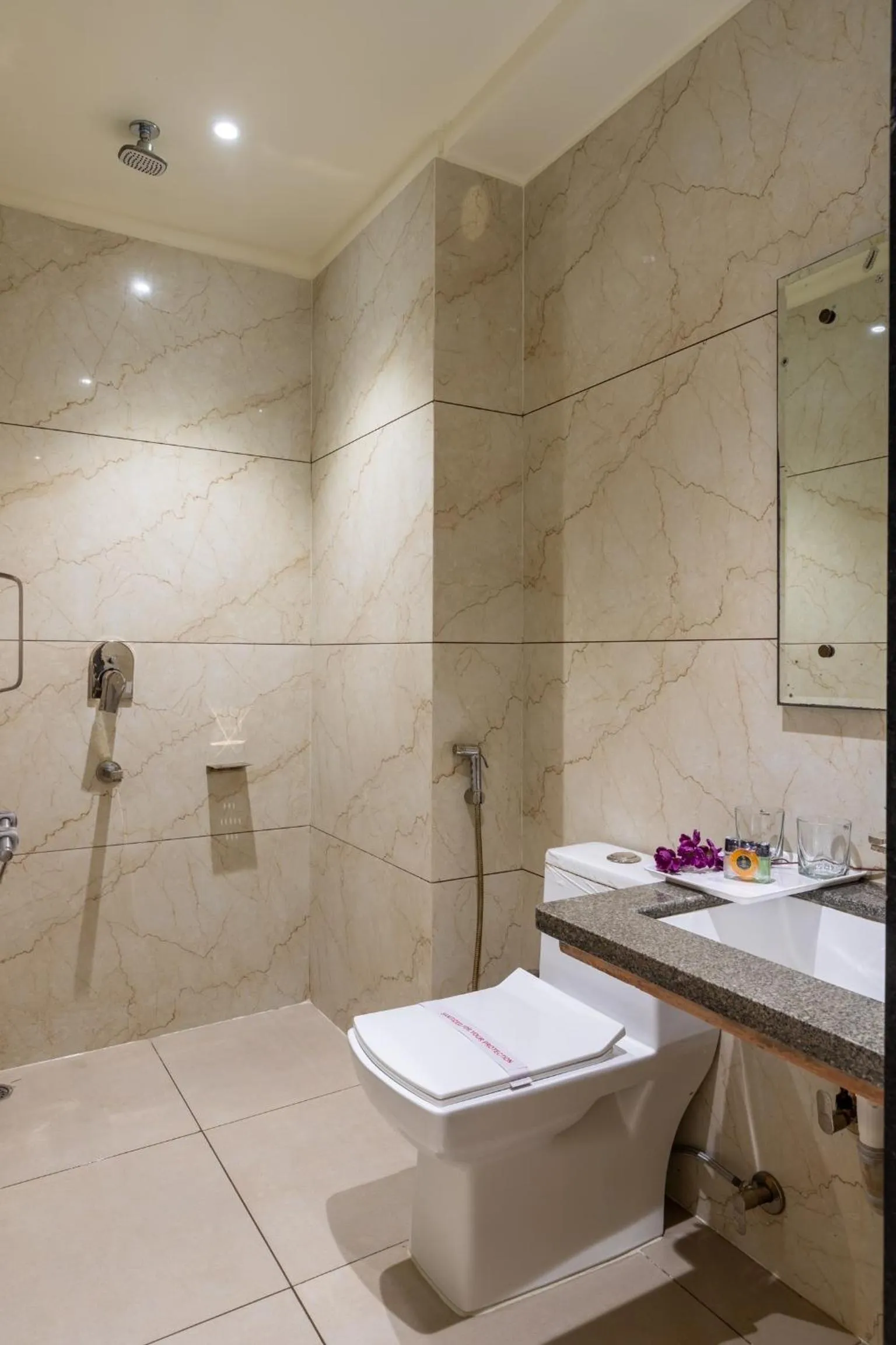 Shower in Hotel Meghdoot, Bhopal