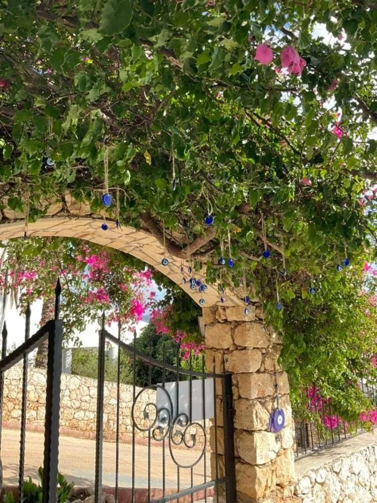 Garden in Marquis Blue Hotel