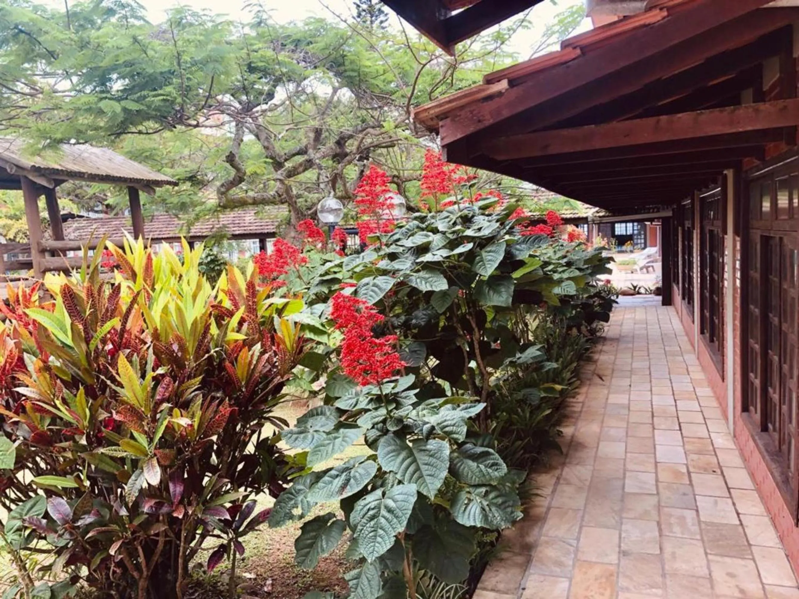 Garden in Flamboyant Hotel