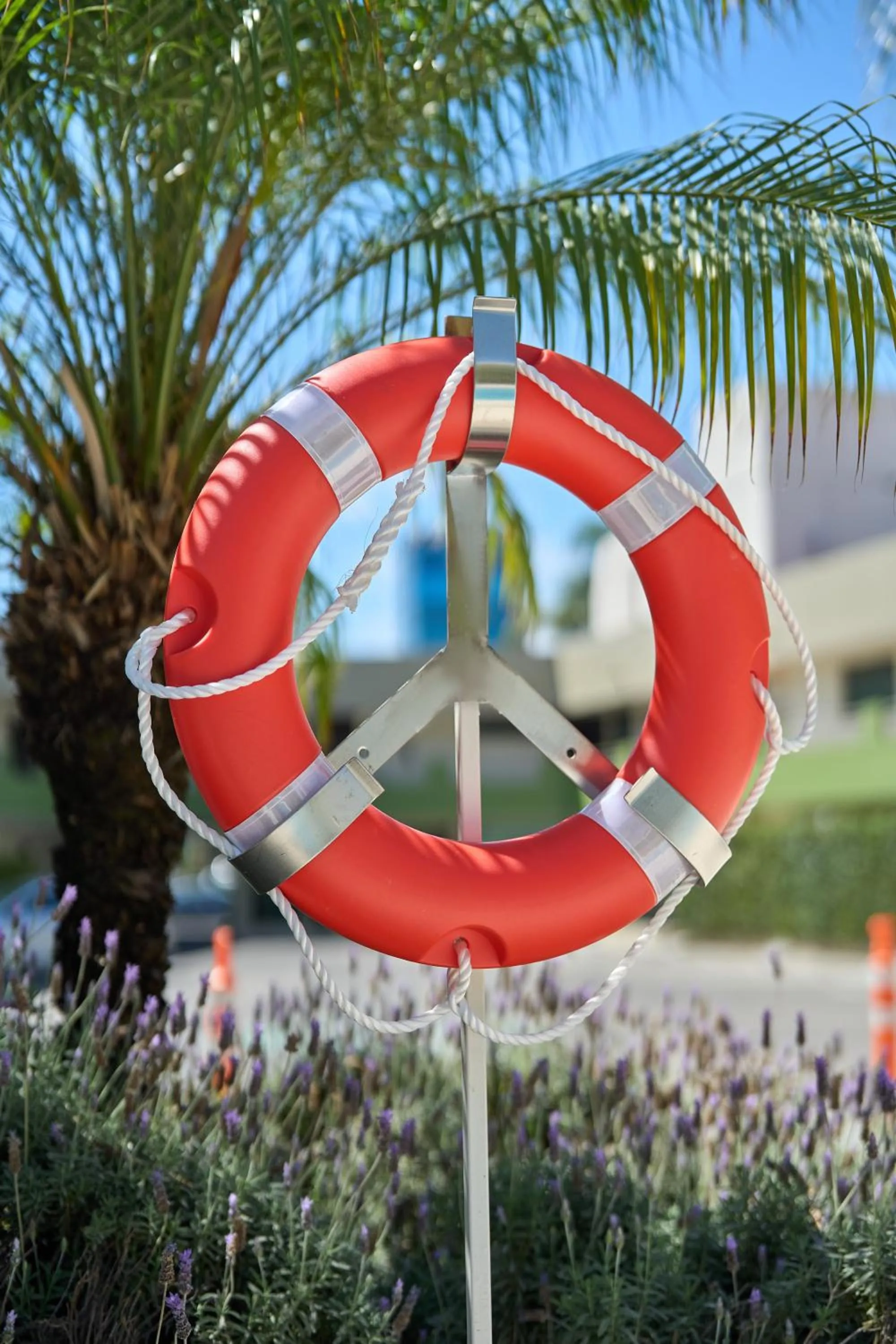 Garden in Hotel Estancia Business Class