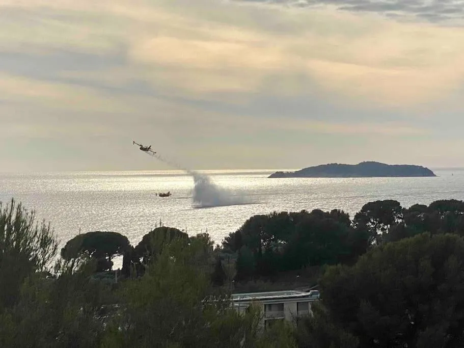 Appart'hotel Victoria Garden La Ciotat