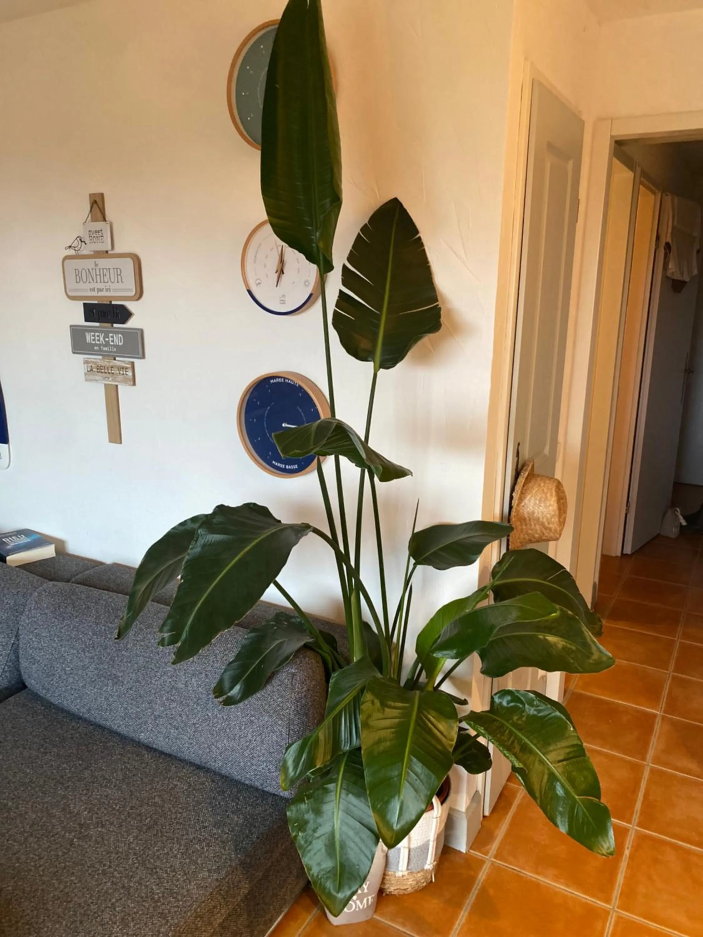 Appart'hotel Victoria Garden La Ciotat