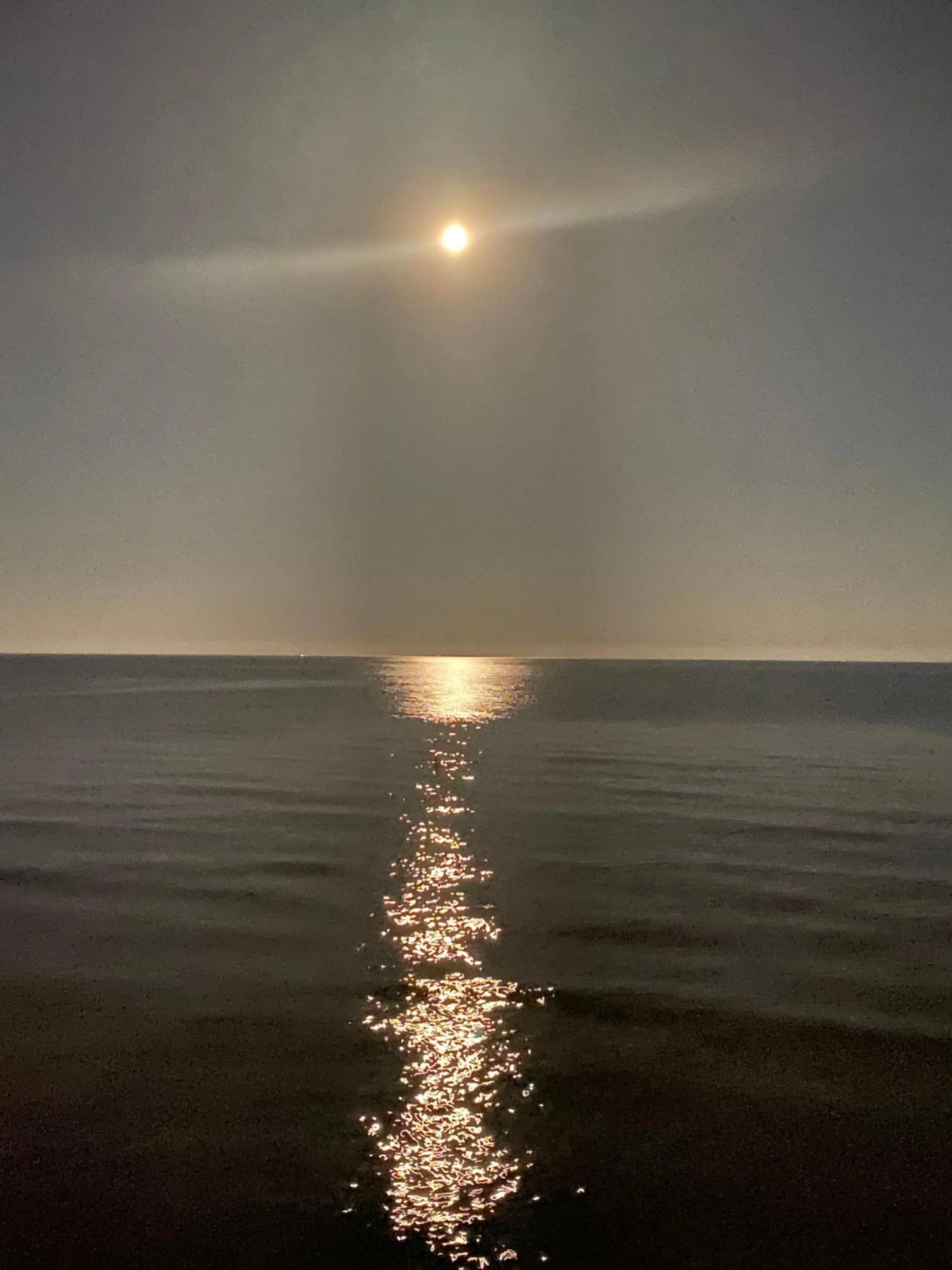 Appart'hotel Victoria Garden La Ciotat