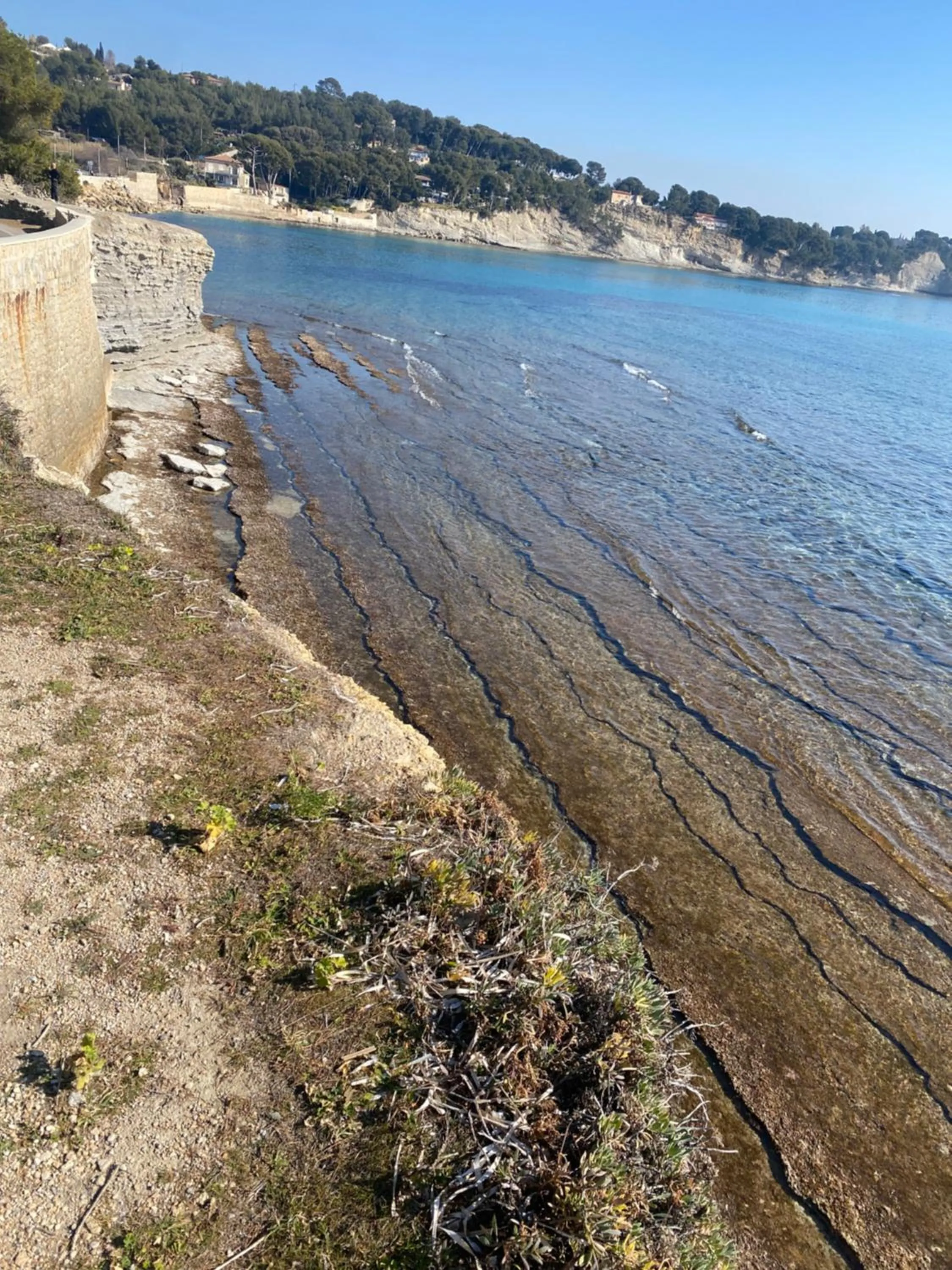 Appart'hotel Victoria Garden La Ciotat
