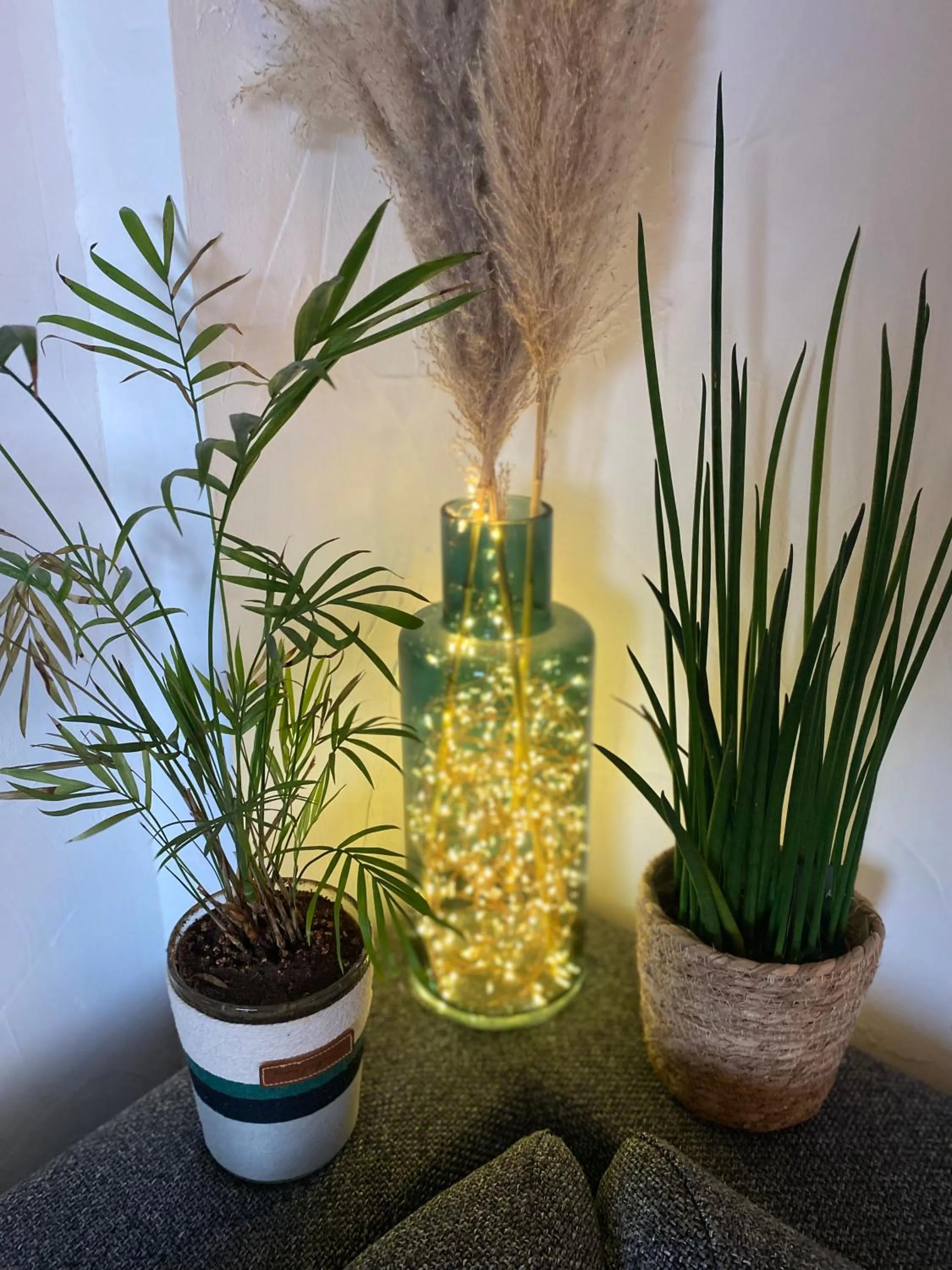 Appart'hotel Victoria Garden La Ciotat