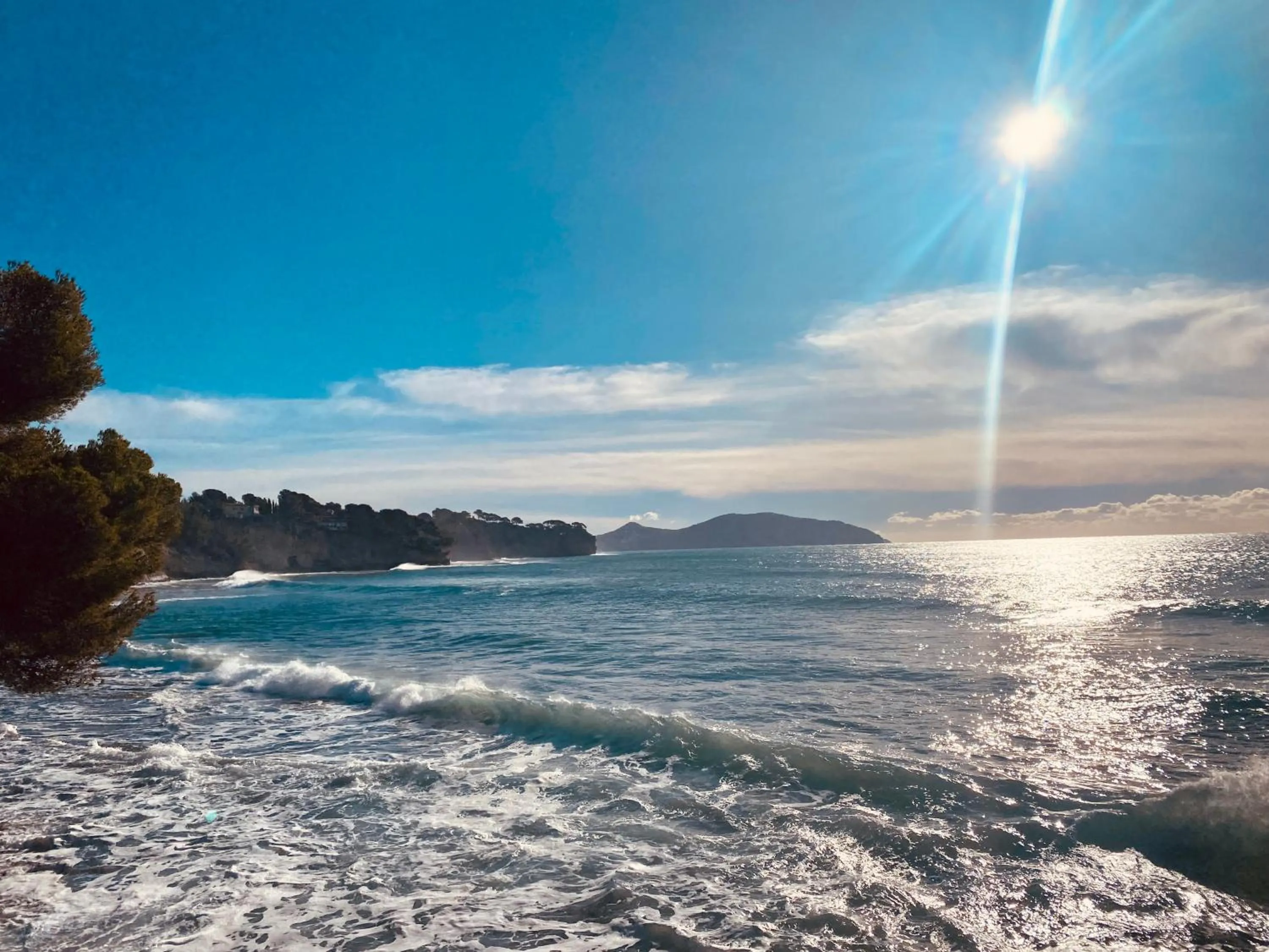 Appart'hotel Victoria Garden La Ciotat