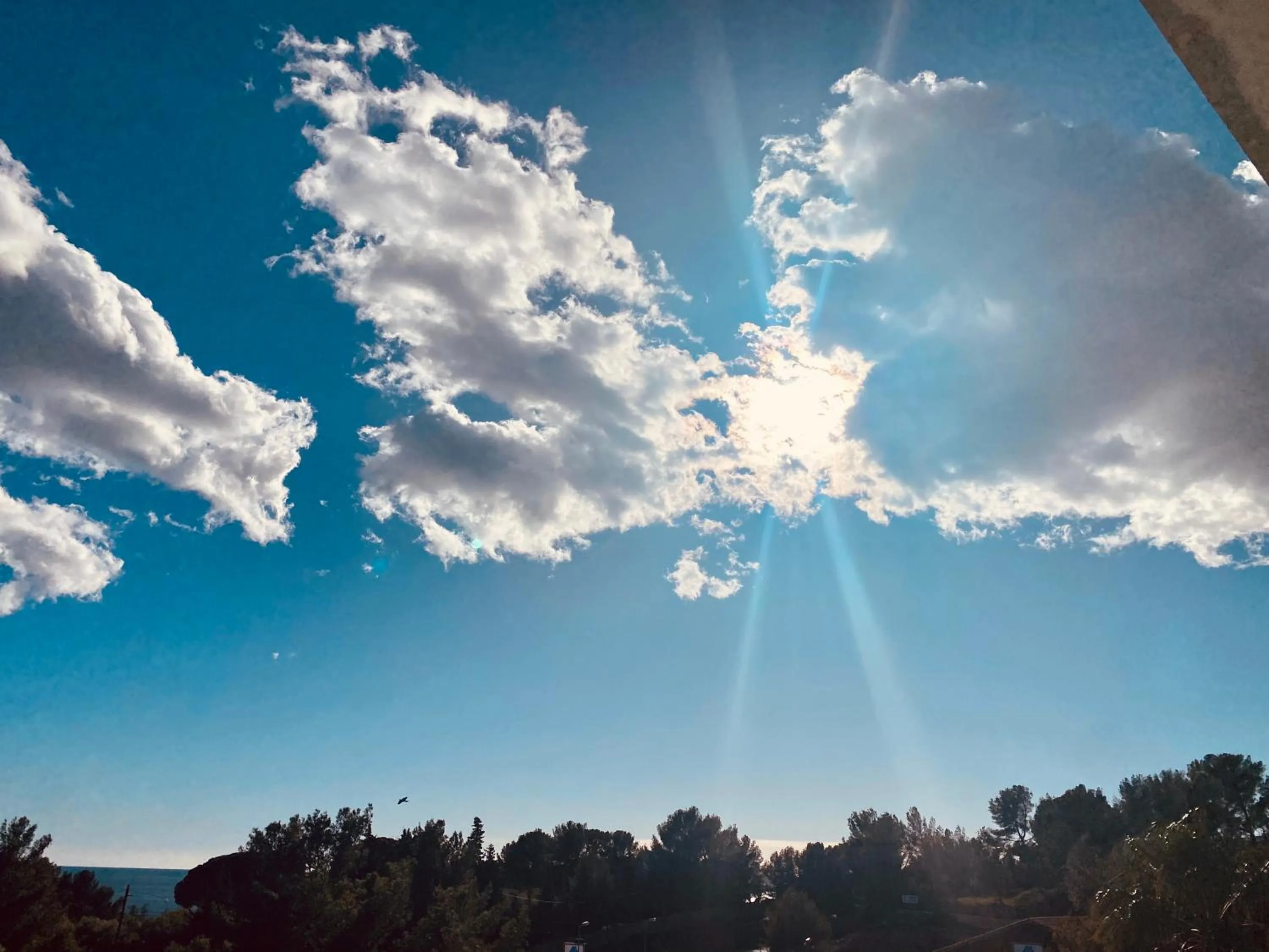 Appart'hotel Victoria Garden La Ciotat