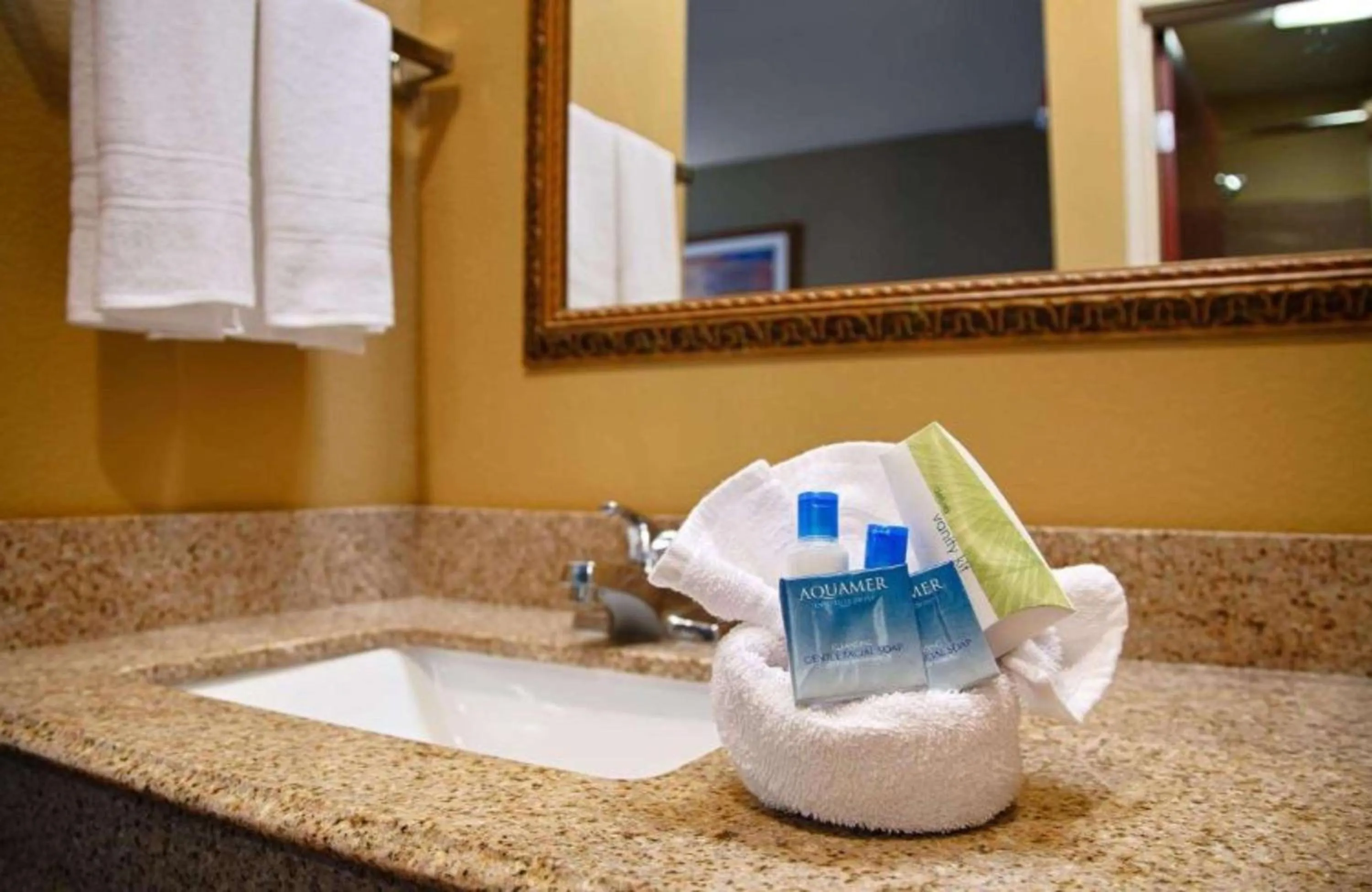 Other in Best Western Zachary Inn