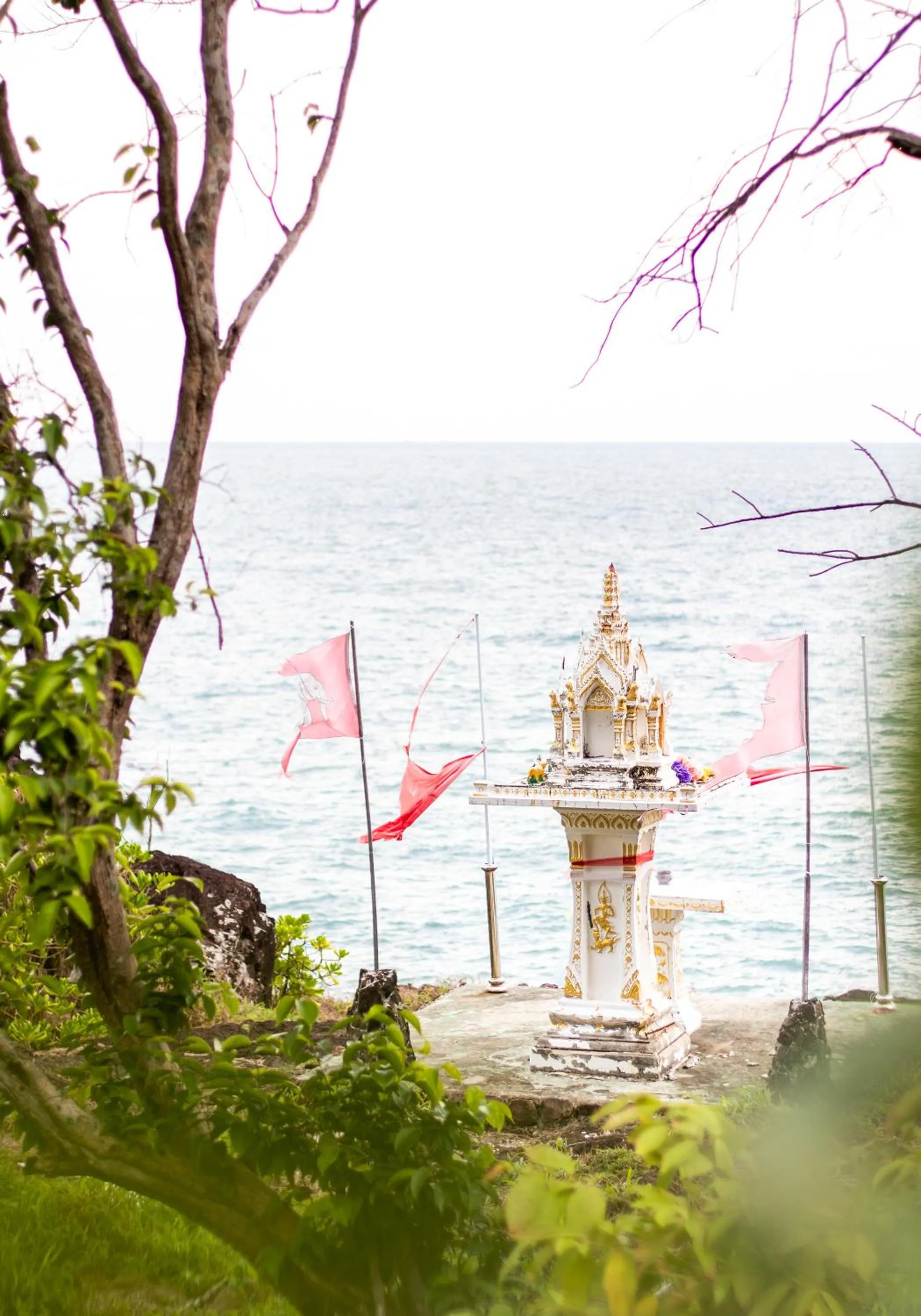 Sea view in Cliff Cottage