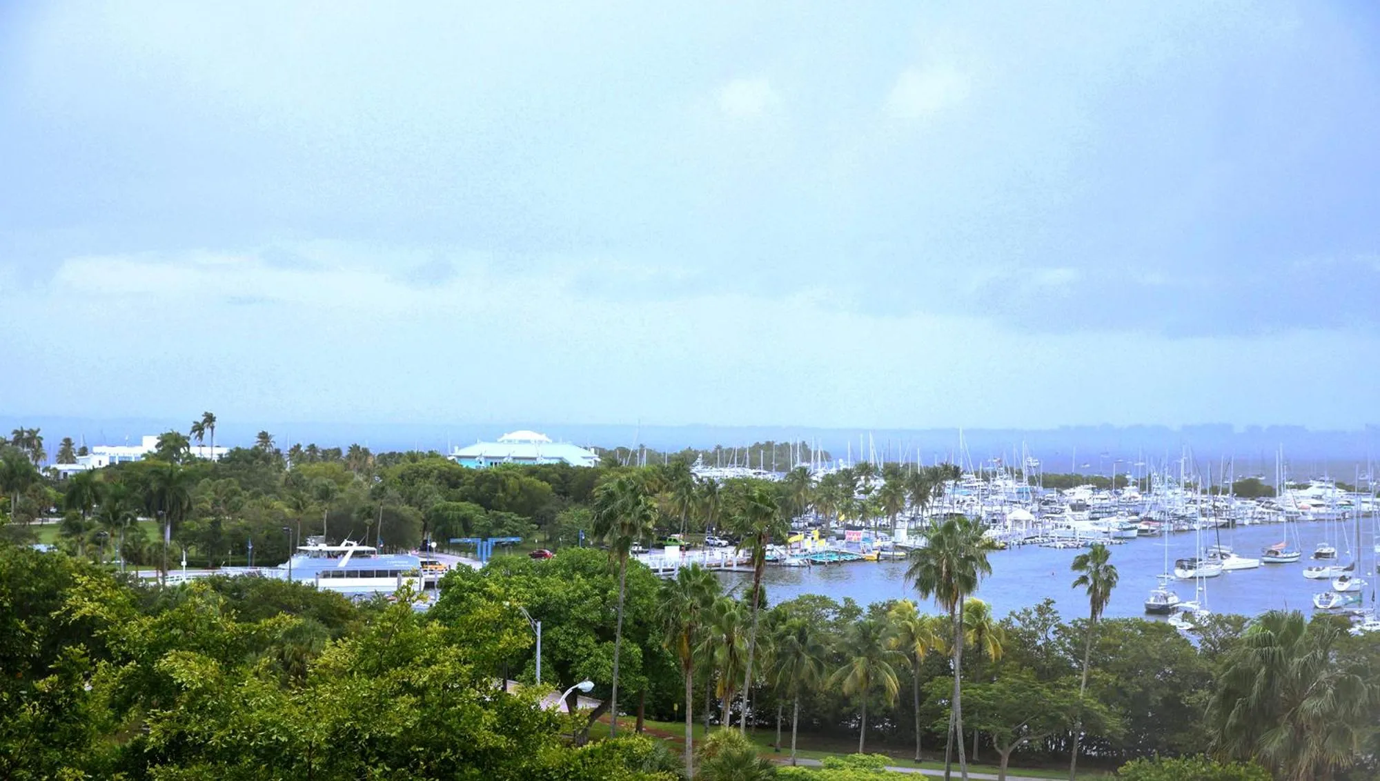 Relaxing Condo Hotel In The Grove, Free Parking