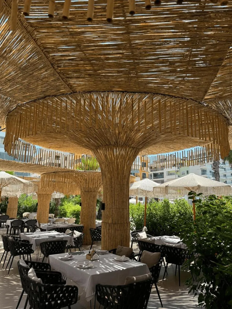 Restaurant/places to eat in Comfort Suites