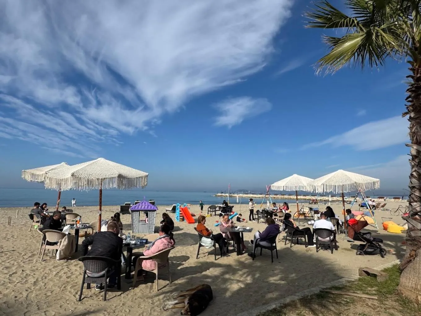 People in Comfort Suites